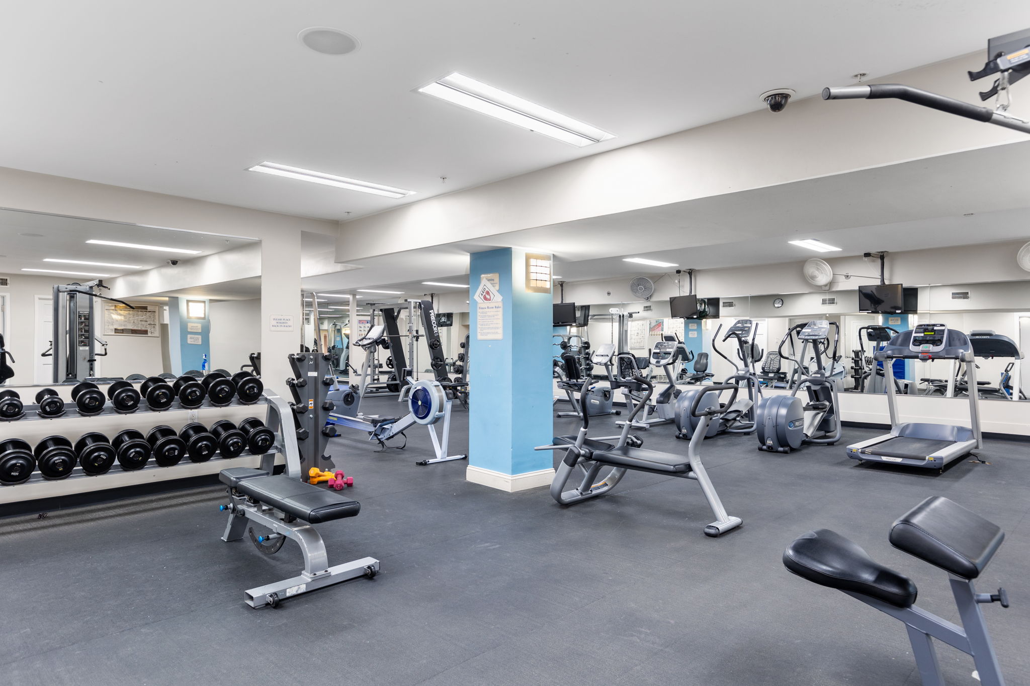 20 Chapel St, Longwood