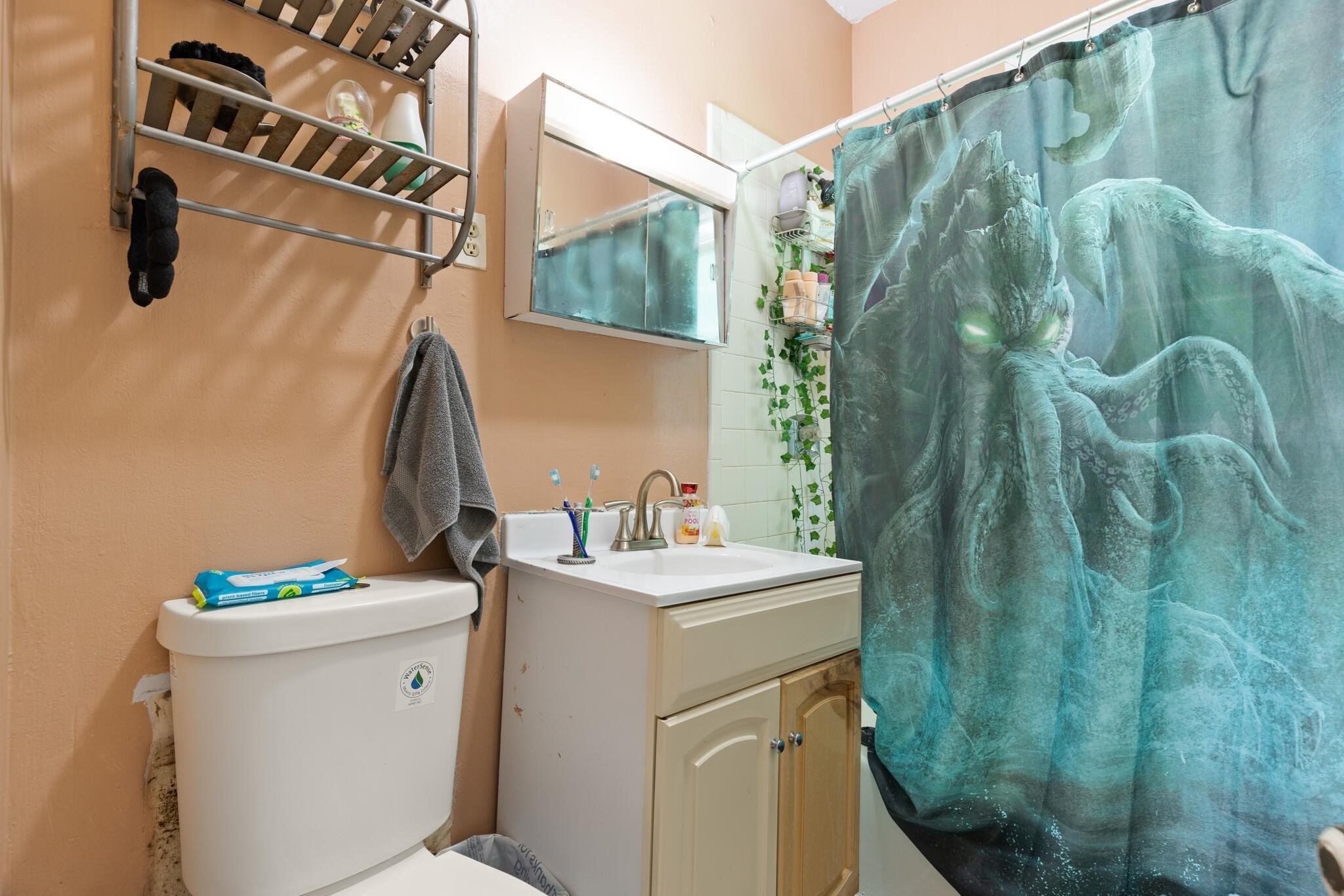 212 Maplewood St, Watertown