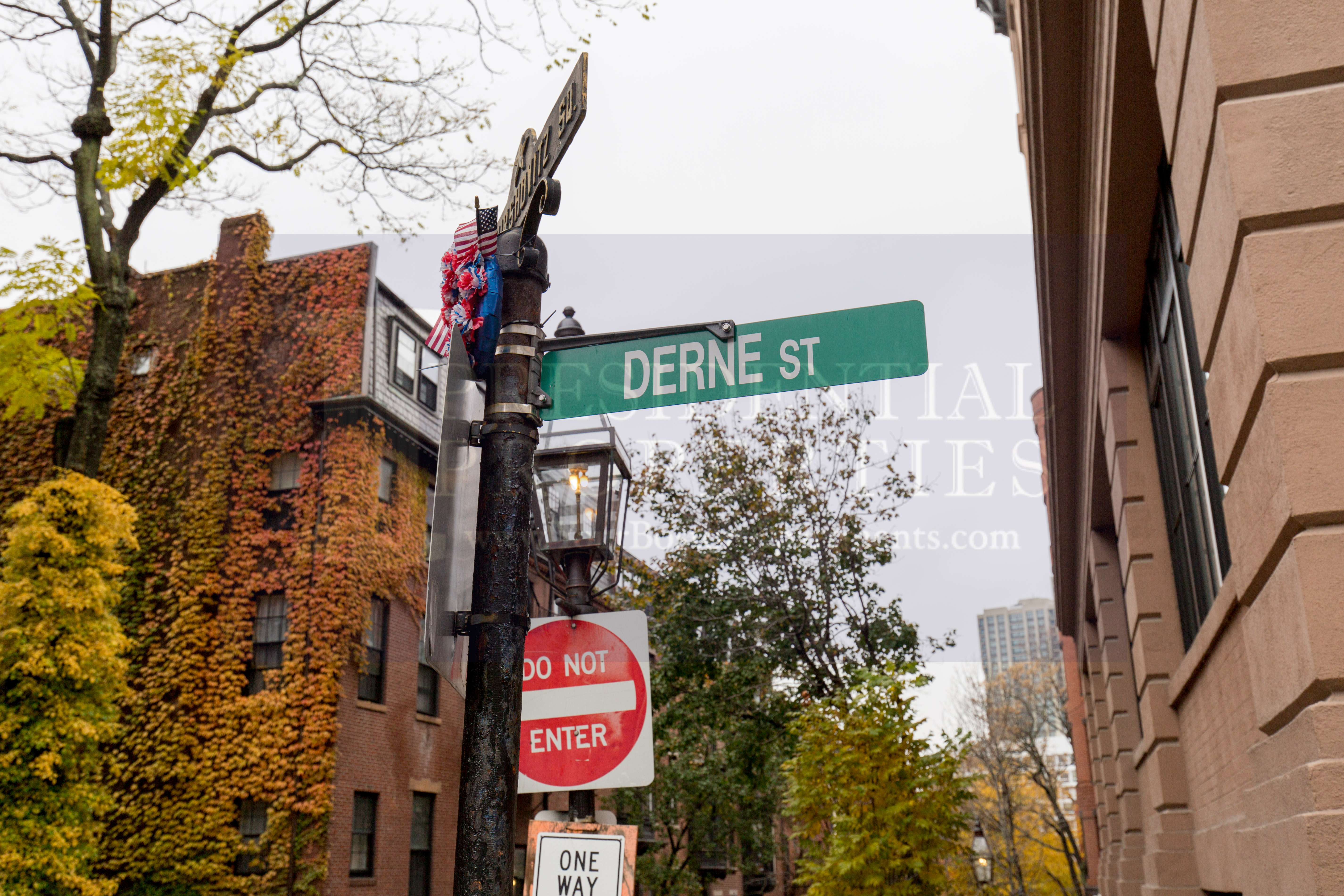 12 Derne St, Beacon Hill