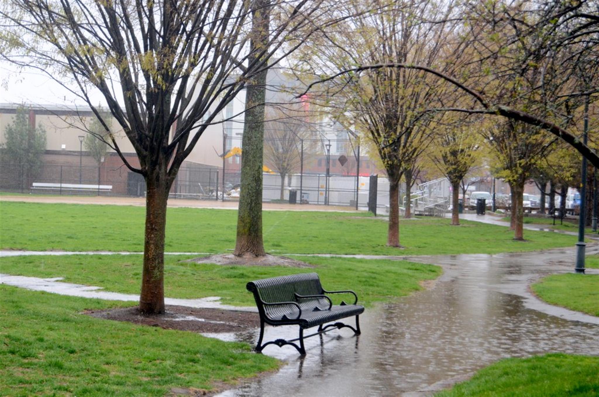 107 Winter St, East Cambridge