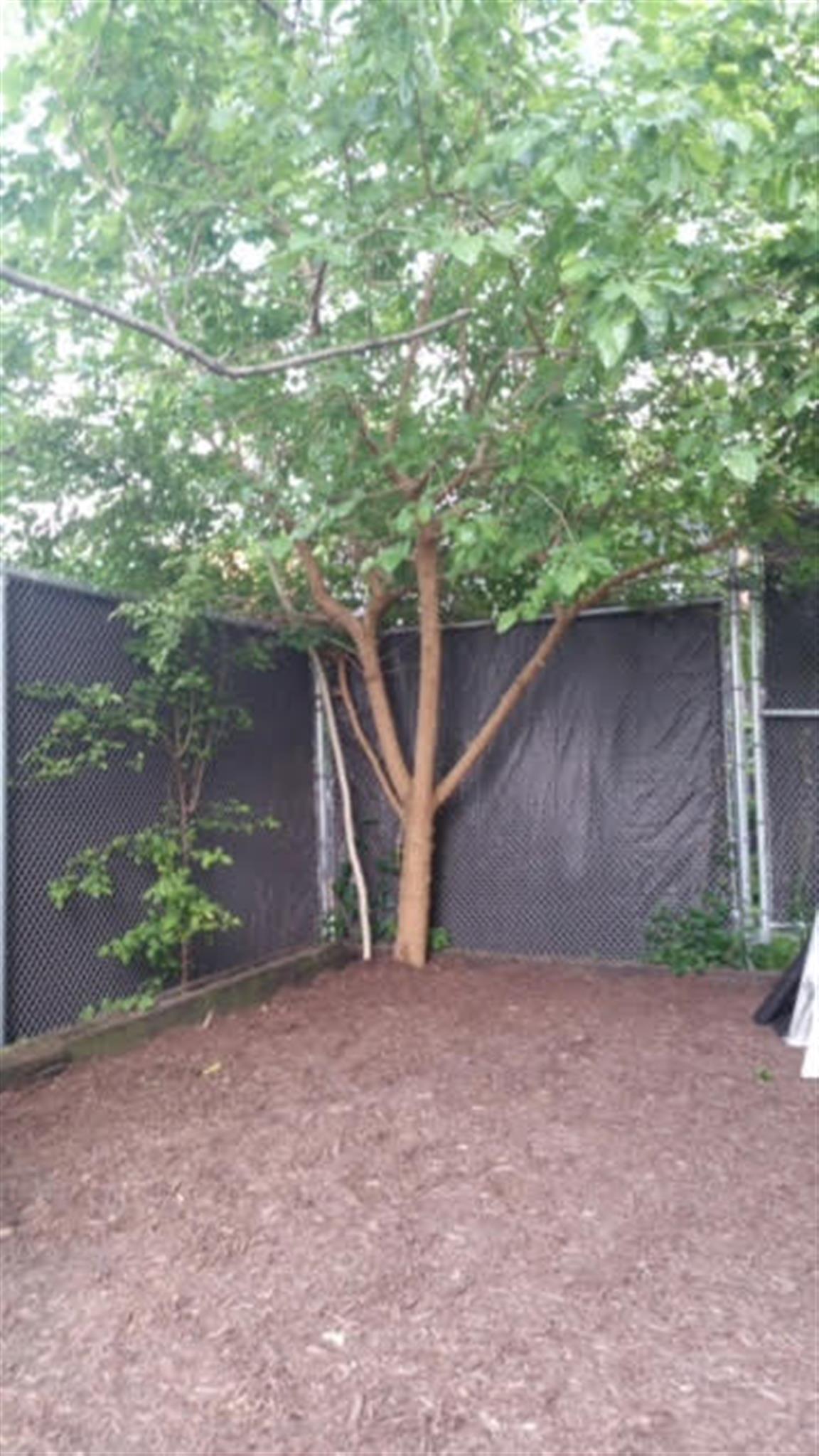 5 Fountain Ave, Union Square