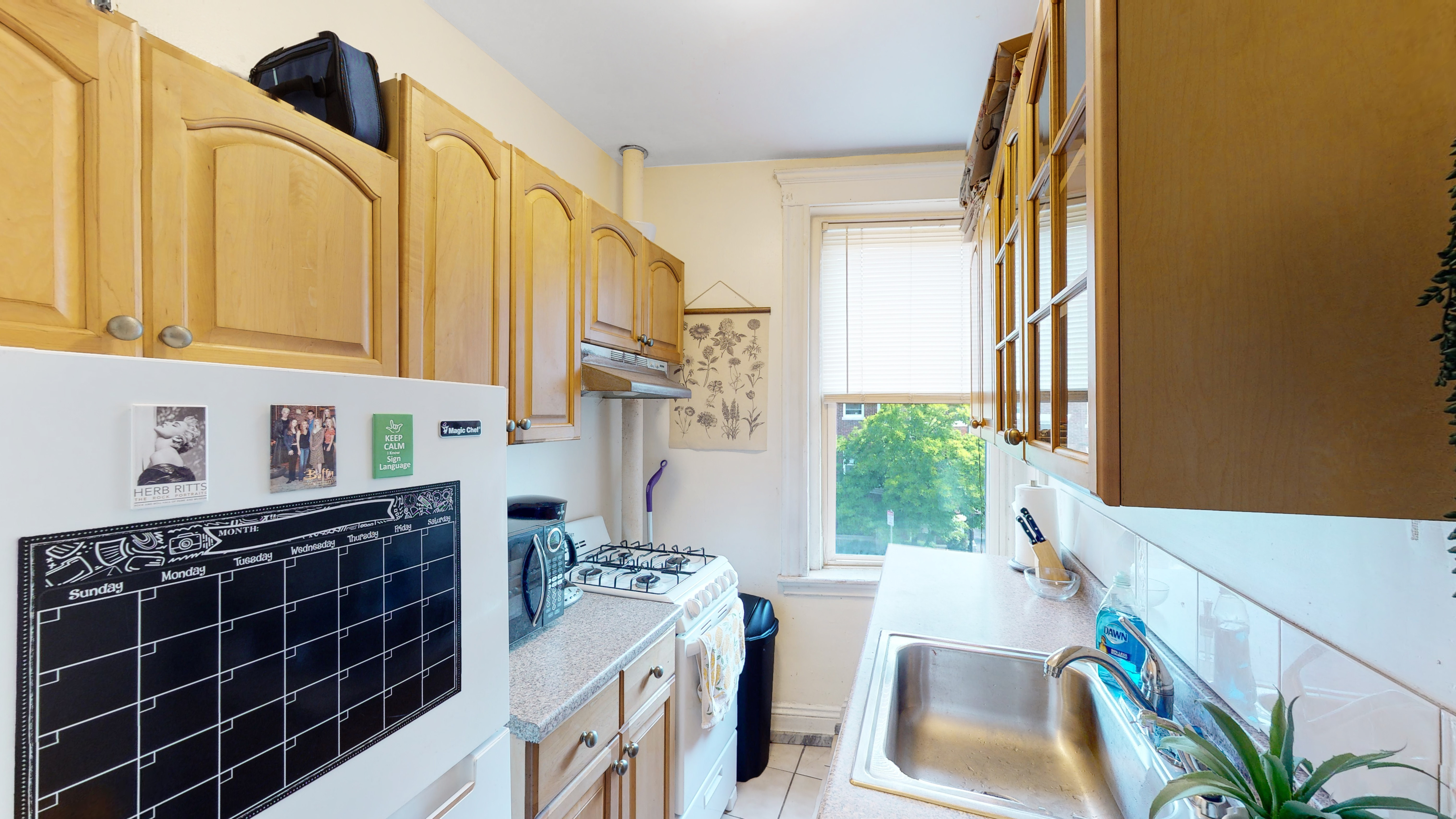 33 Walbridge, Allston