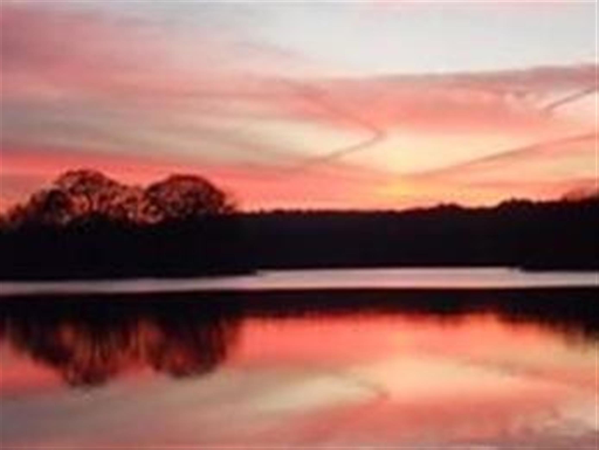 30 Hamilton Rd, Arlington