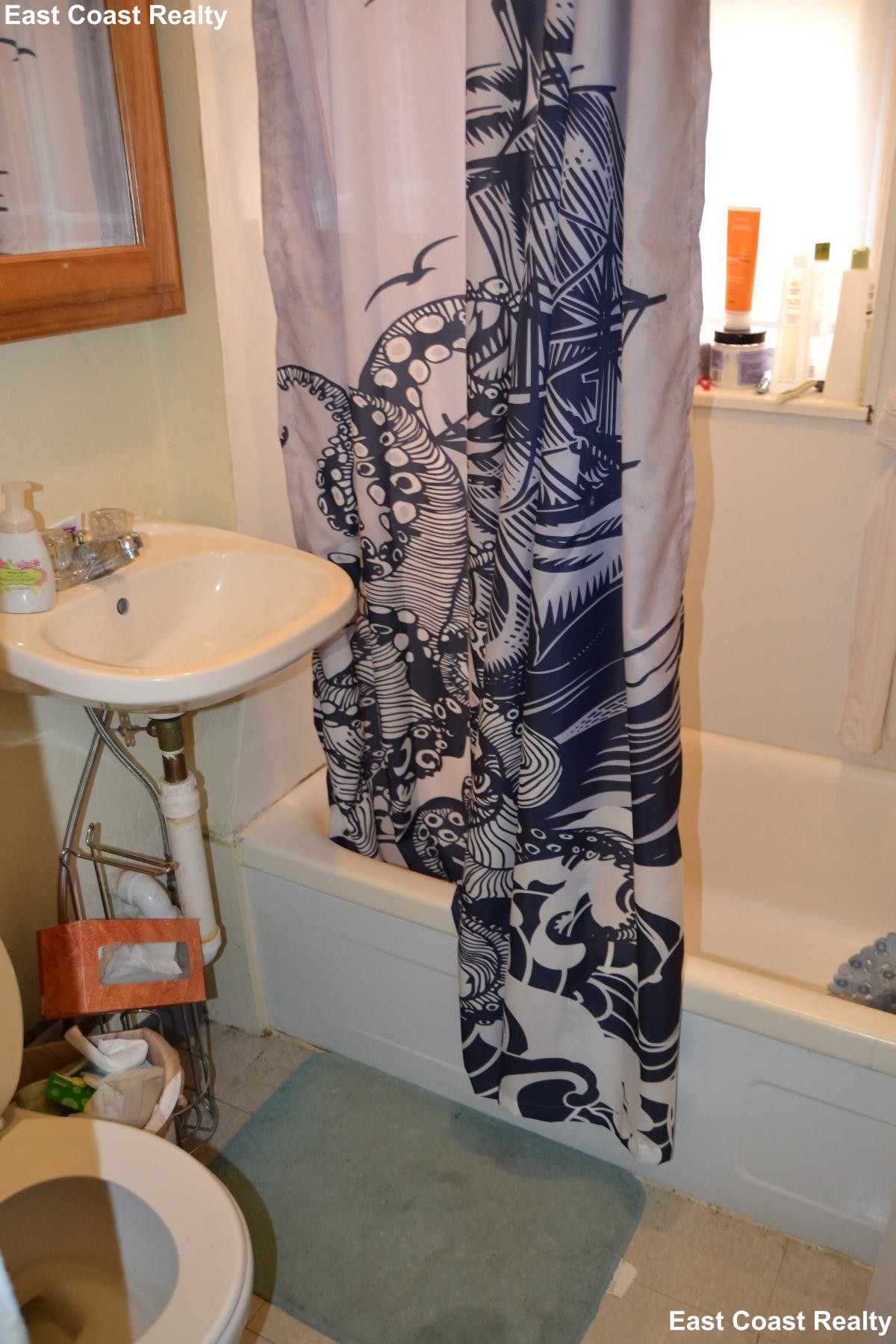 217 Kelton St, Brighton