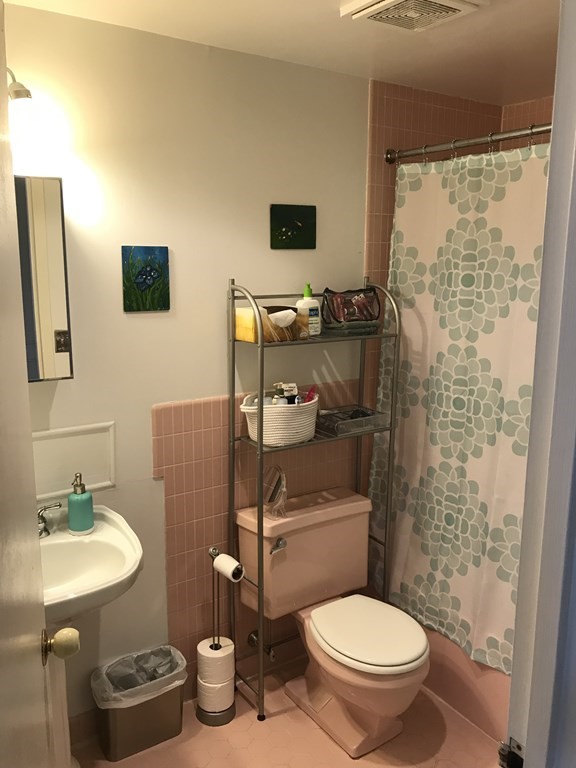 22 Chestnut Pl,, Brookline Hills