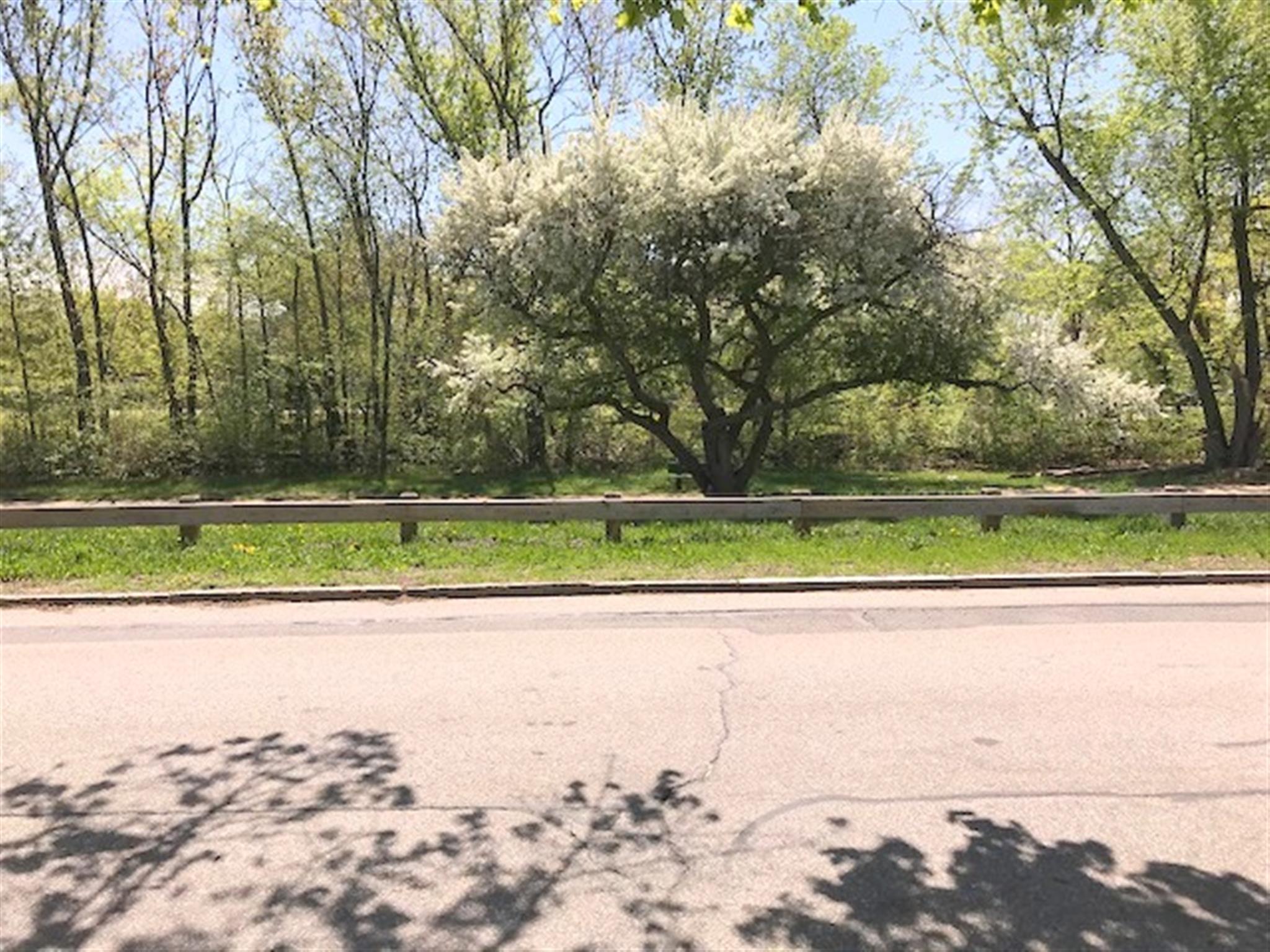 25 Boulevard, Arlington