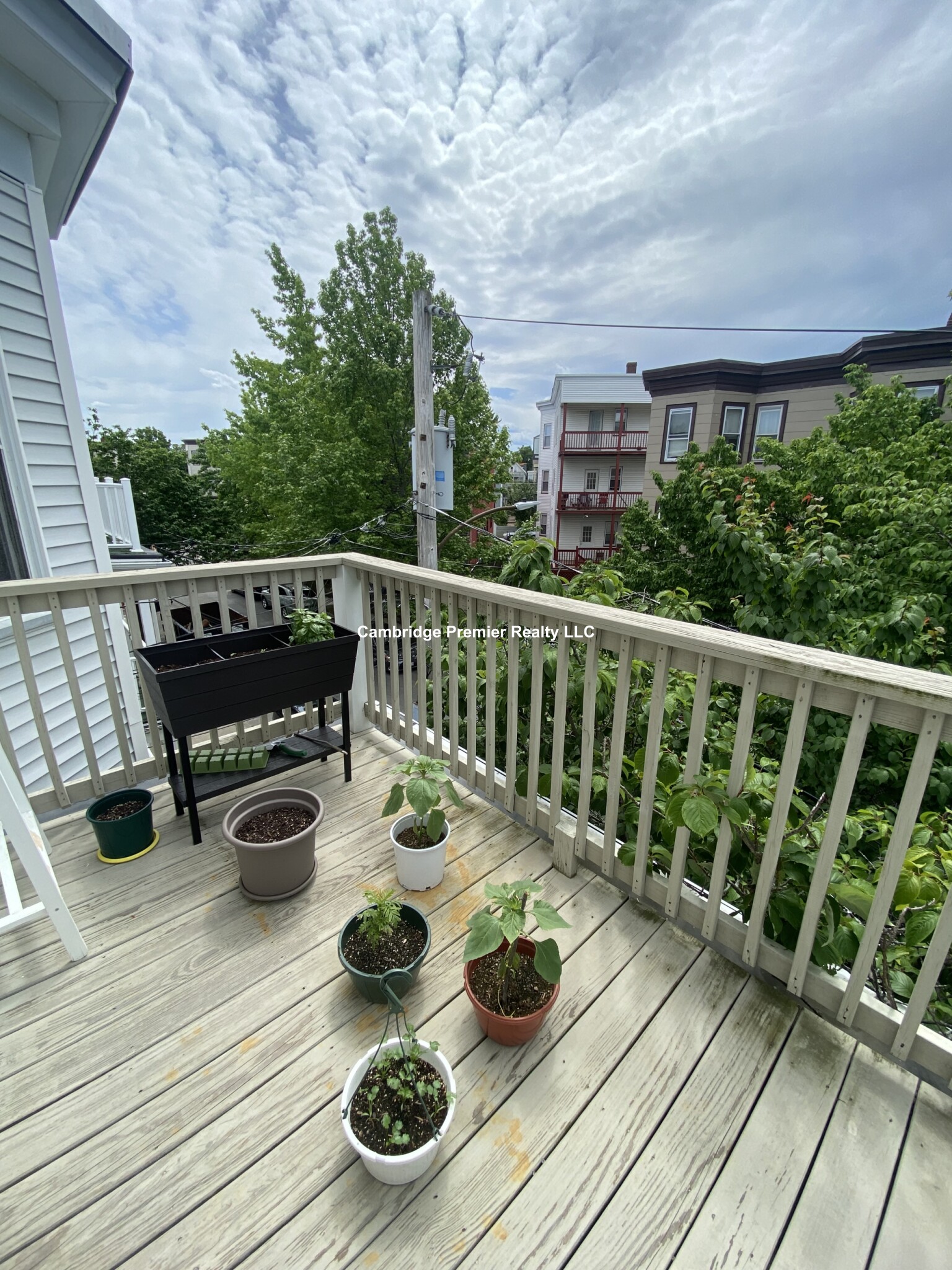 23 Harold St, Ward Two