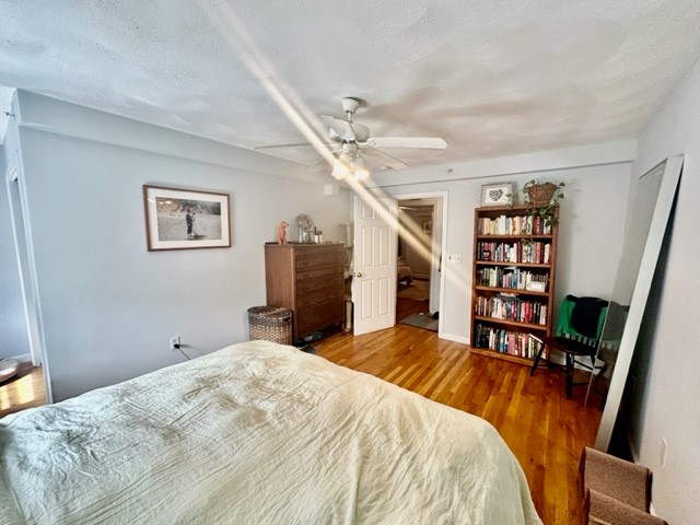 10 Harris St, North End