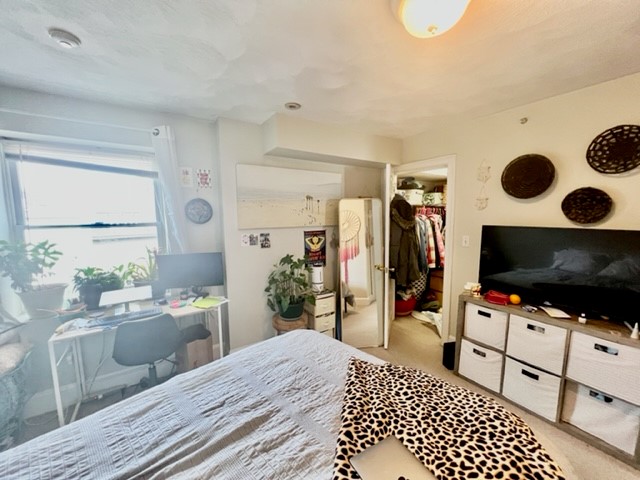 10 Harris St, North End