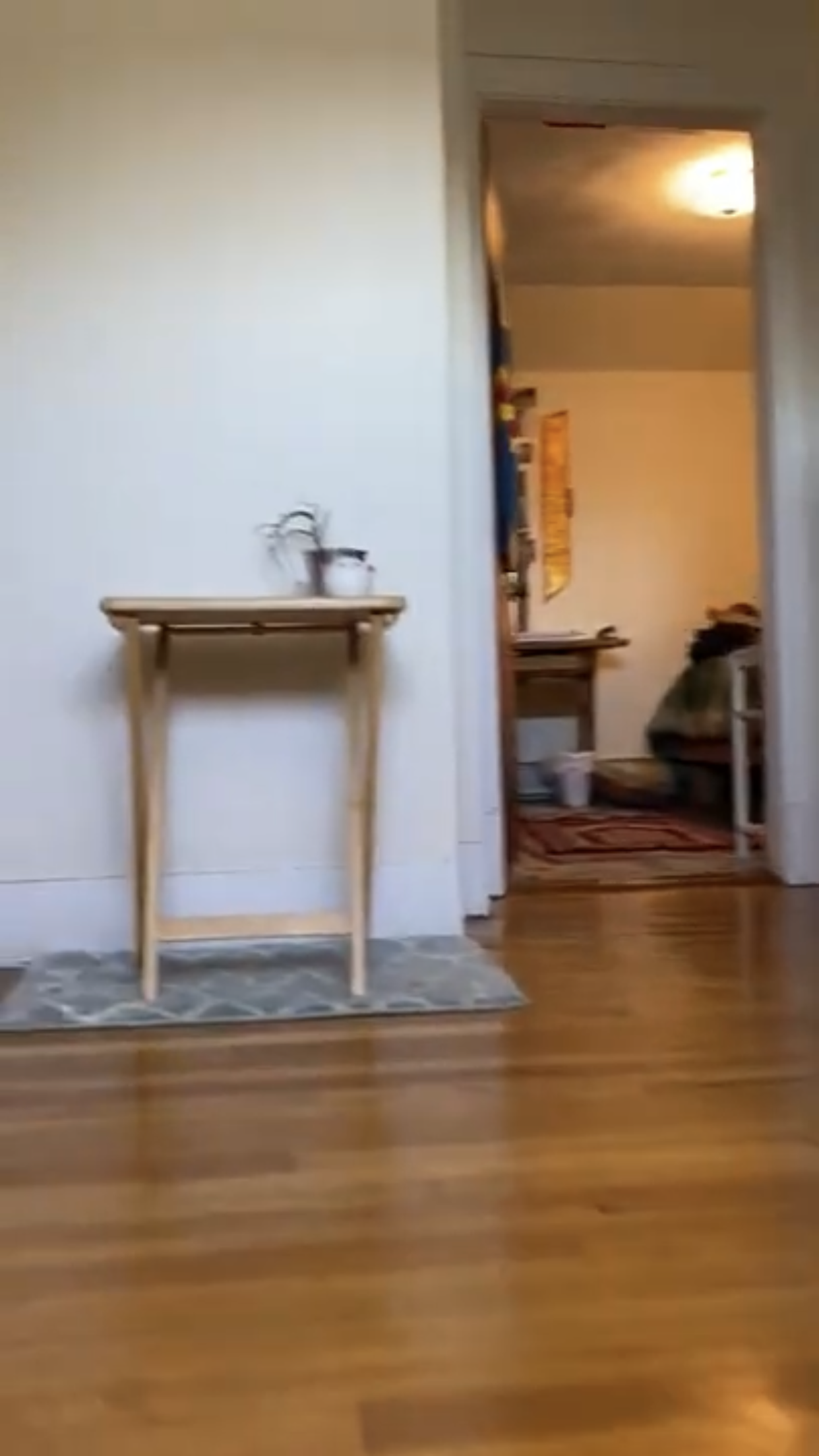 213 Holland St, Davis Square