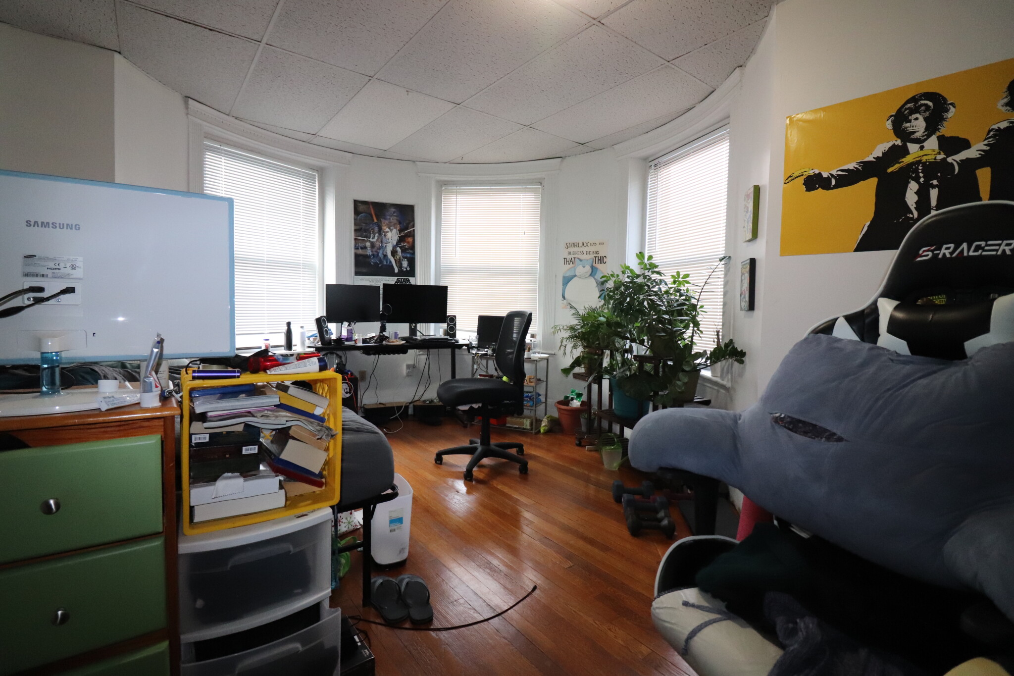 238 Hemenway St, Fenway