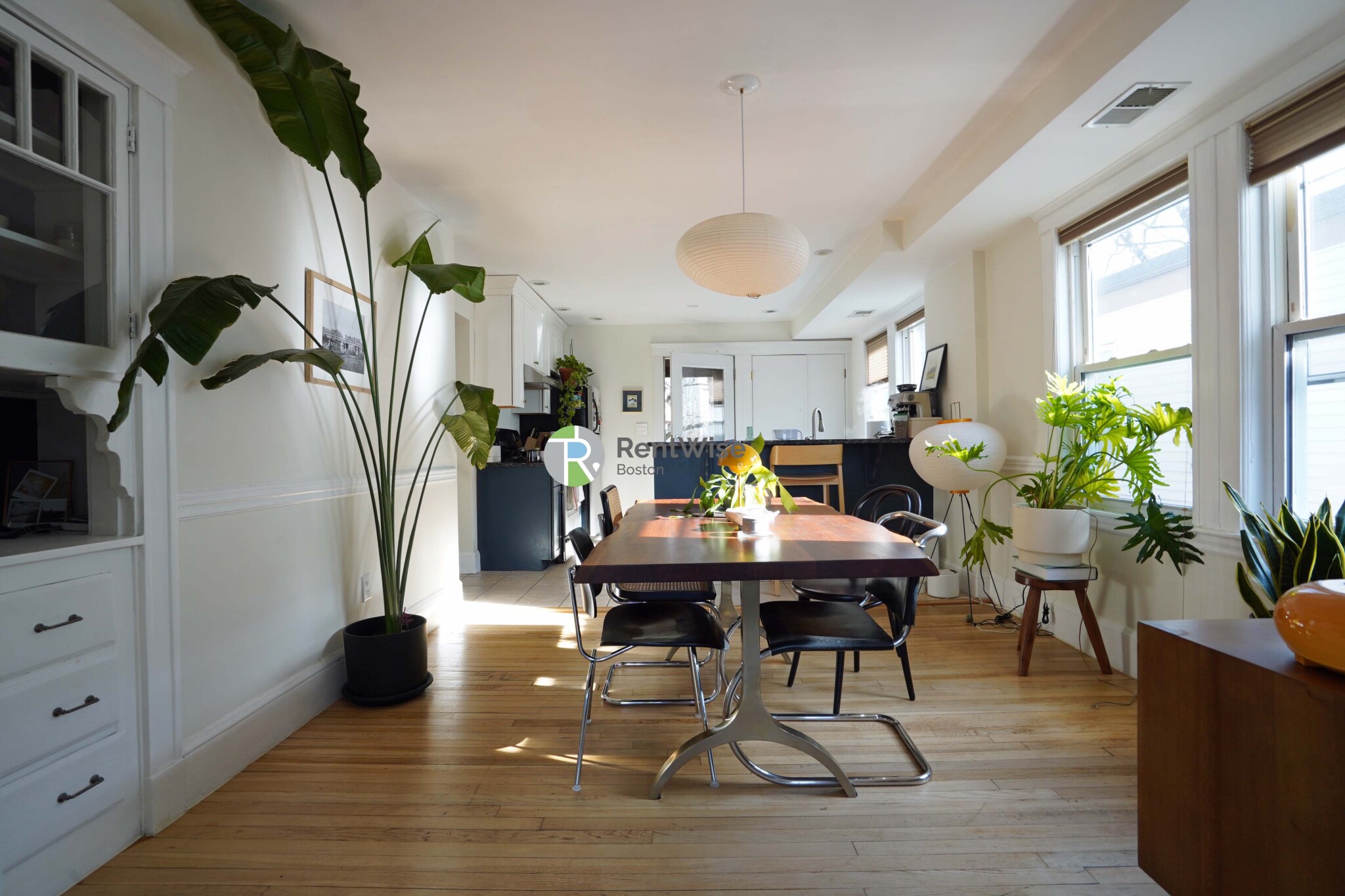 238 Hyde Park Ave, Roslindale