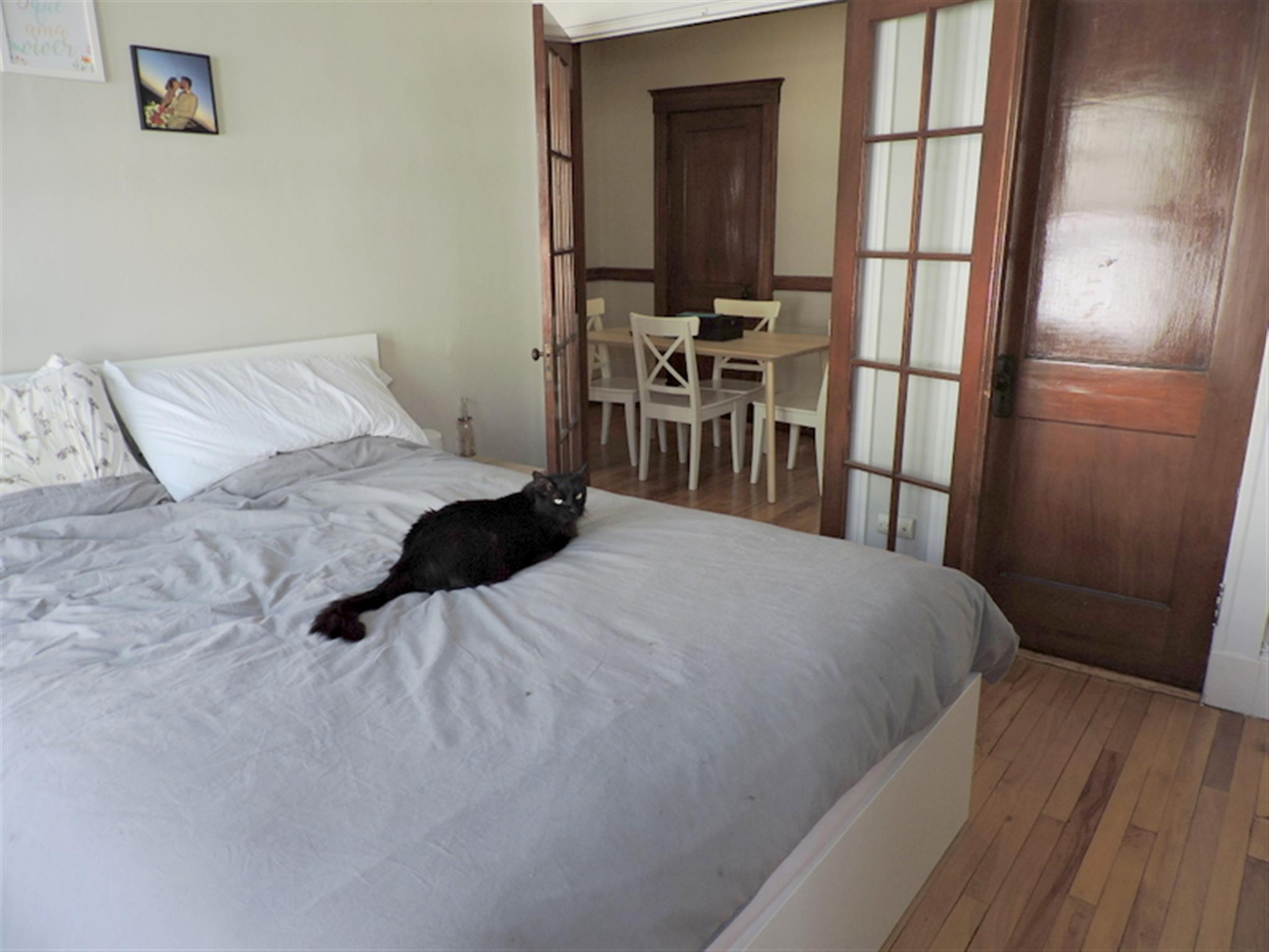 11 Story St, Harvard Square