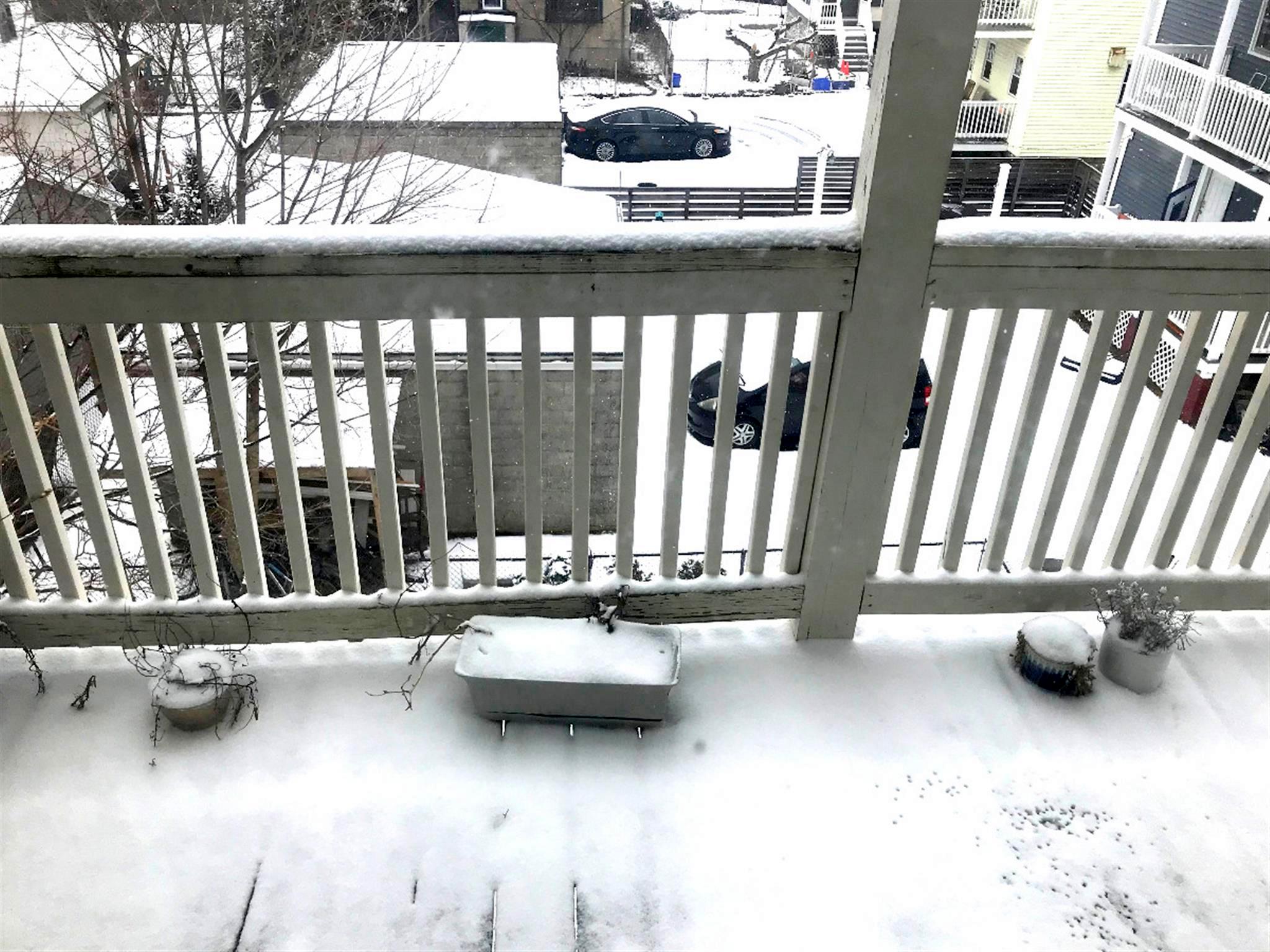 137 Dudley St, North Cambridge