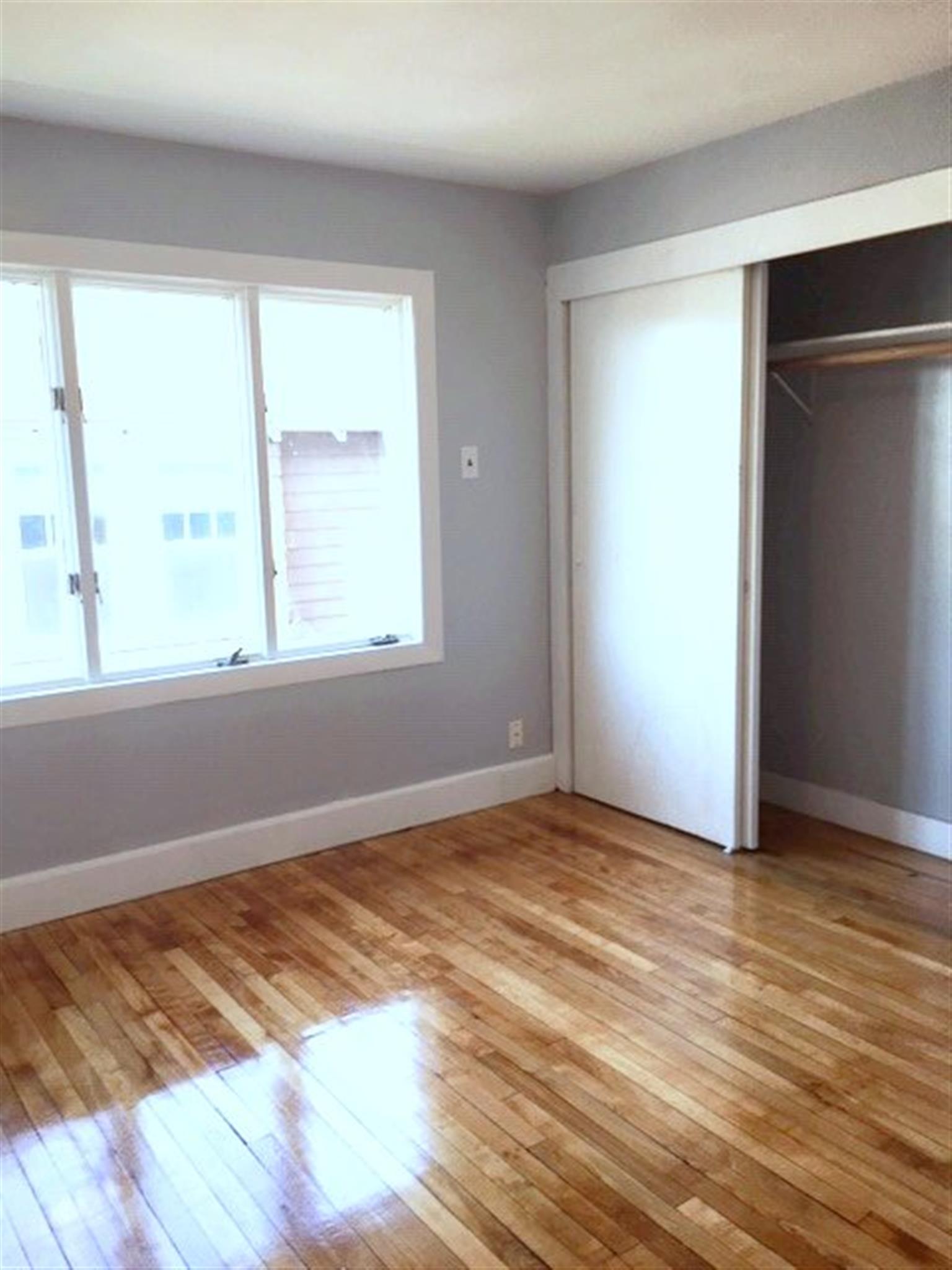 62 Woods, Davis Square