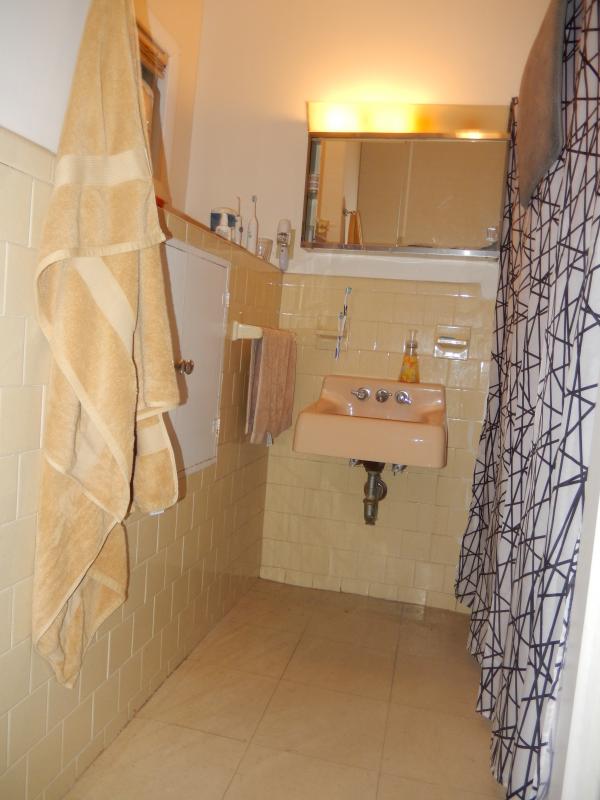 51 Custer St, Jamaica Plain