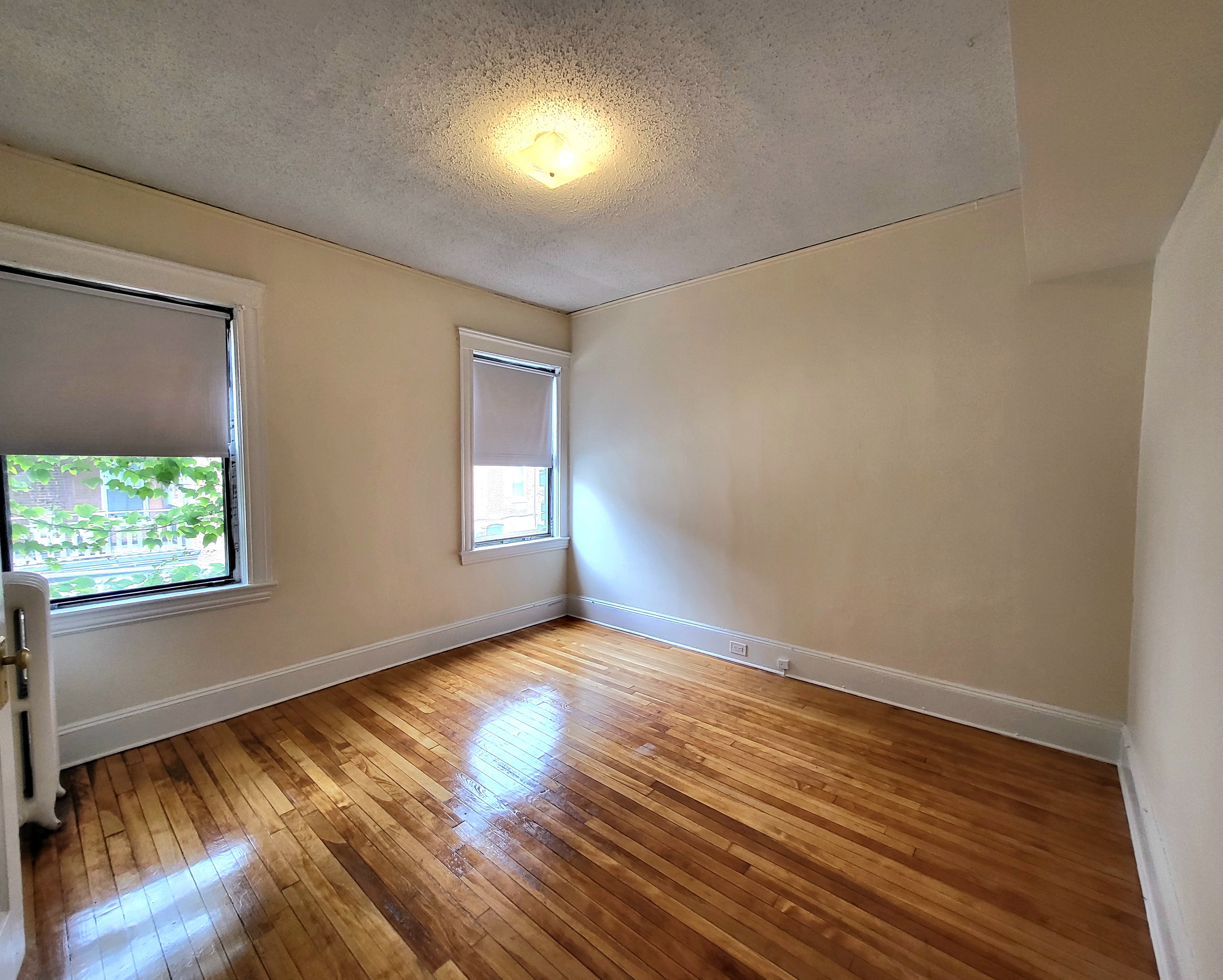 24 Hamilton Rd, Coolidge Corner