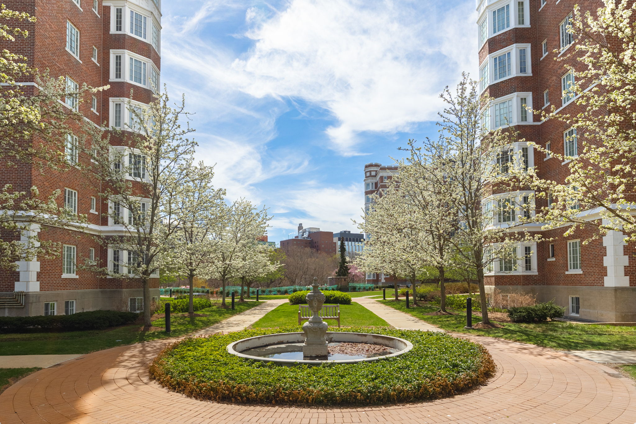 20 Chapel St, Longwood