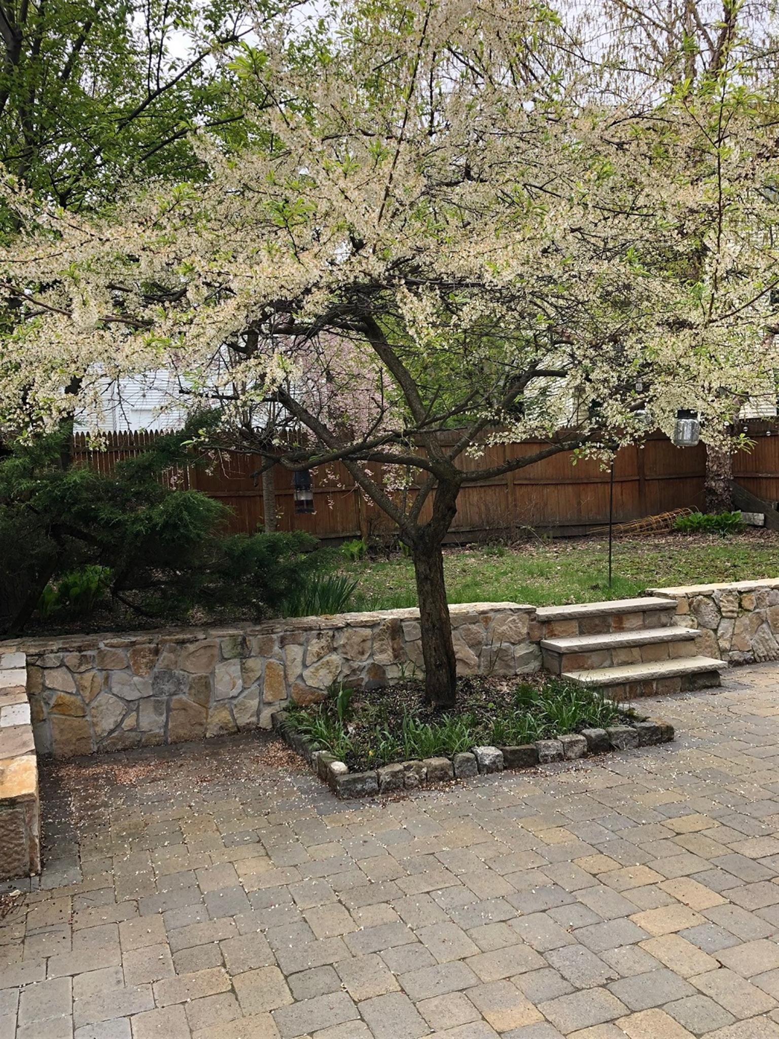 84 Hudson St, Spring Hill