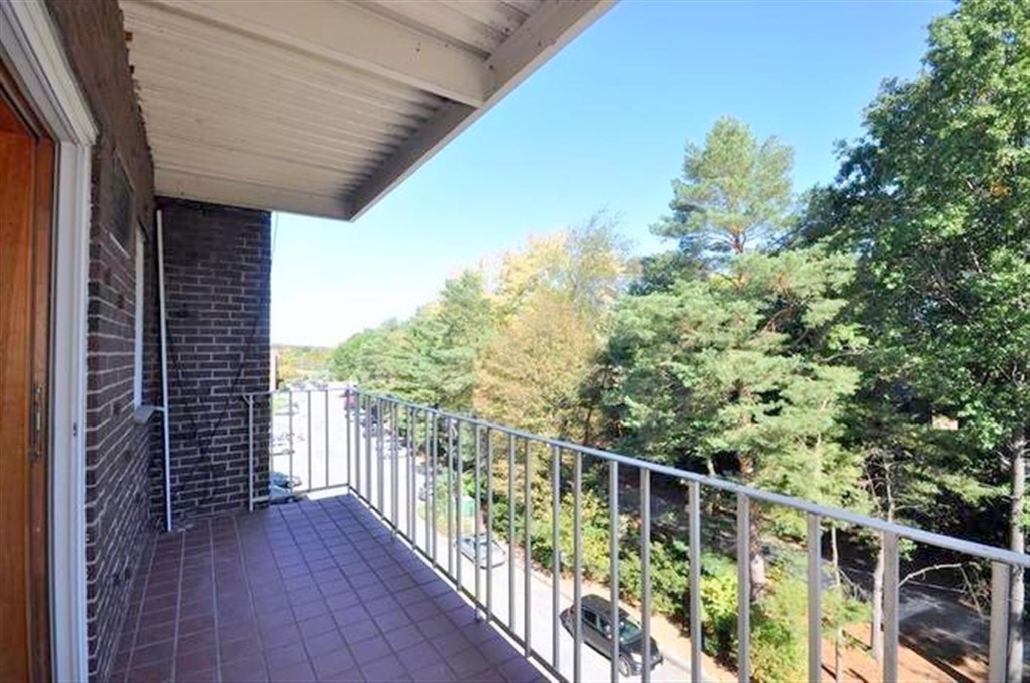 18 Hamilton Rd, Arlington