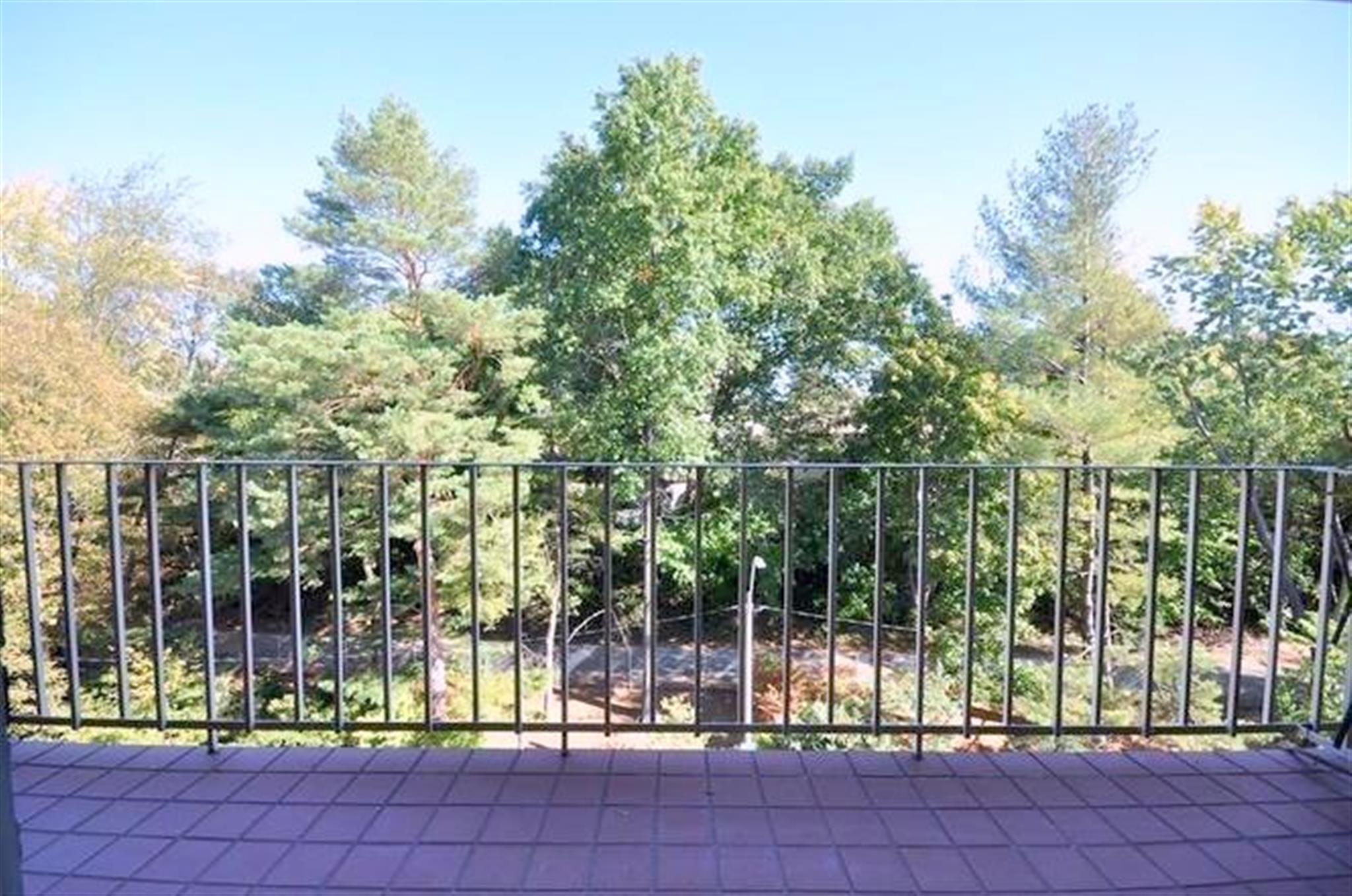 18 Hamilton Rd, Arlington