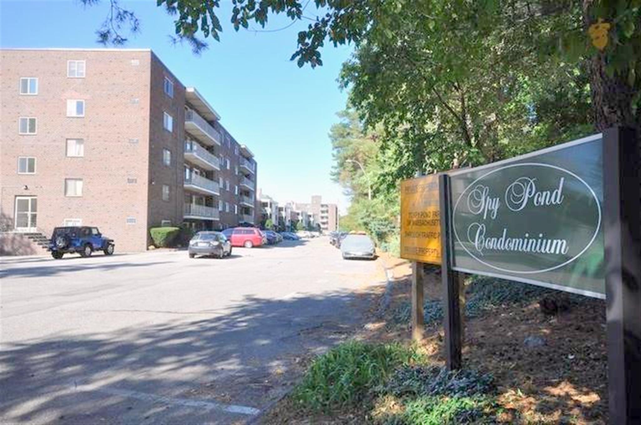 18 Hamilton, Arlington