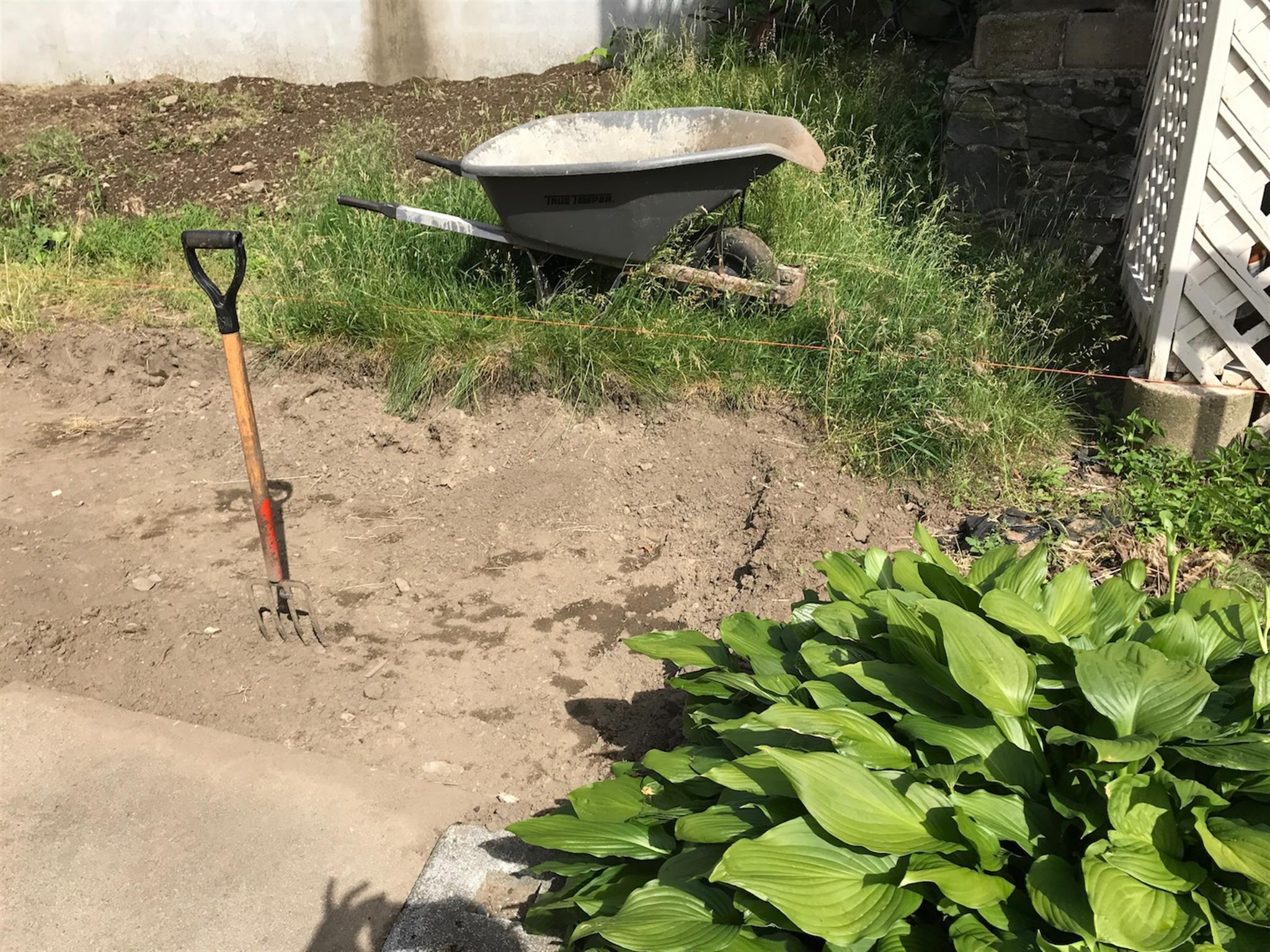 33 Ibbetson St, Porter Square