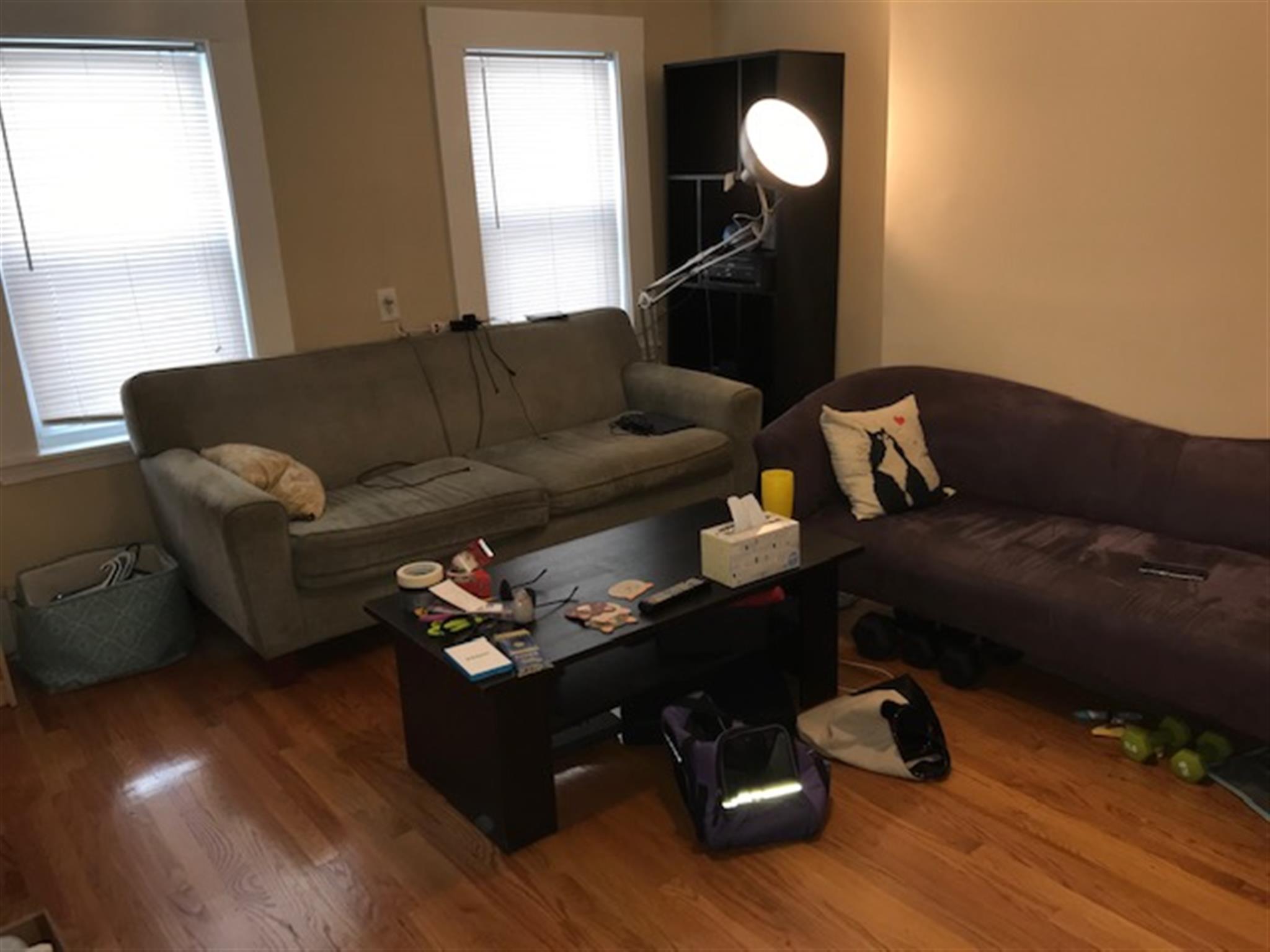 53 Harding St, Inman Square