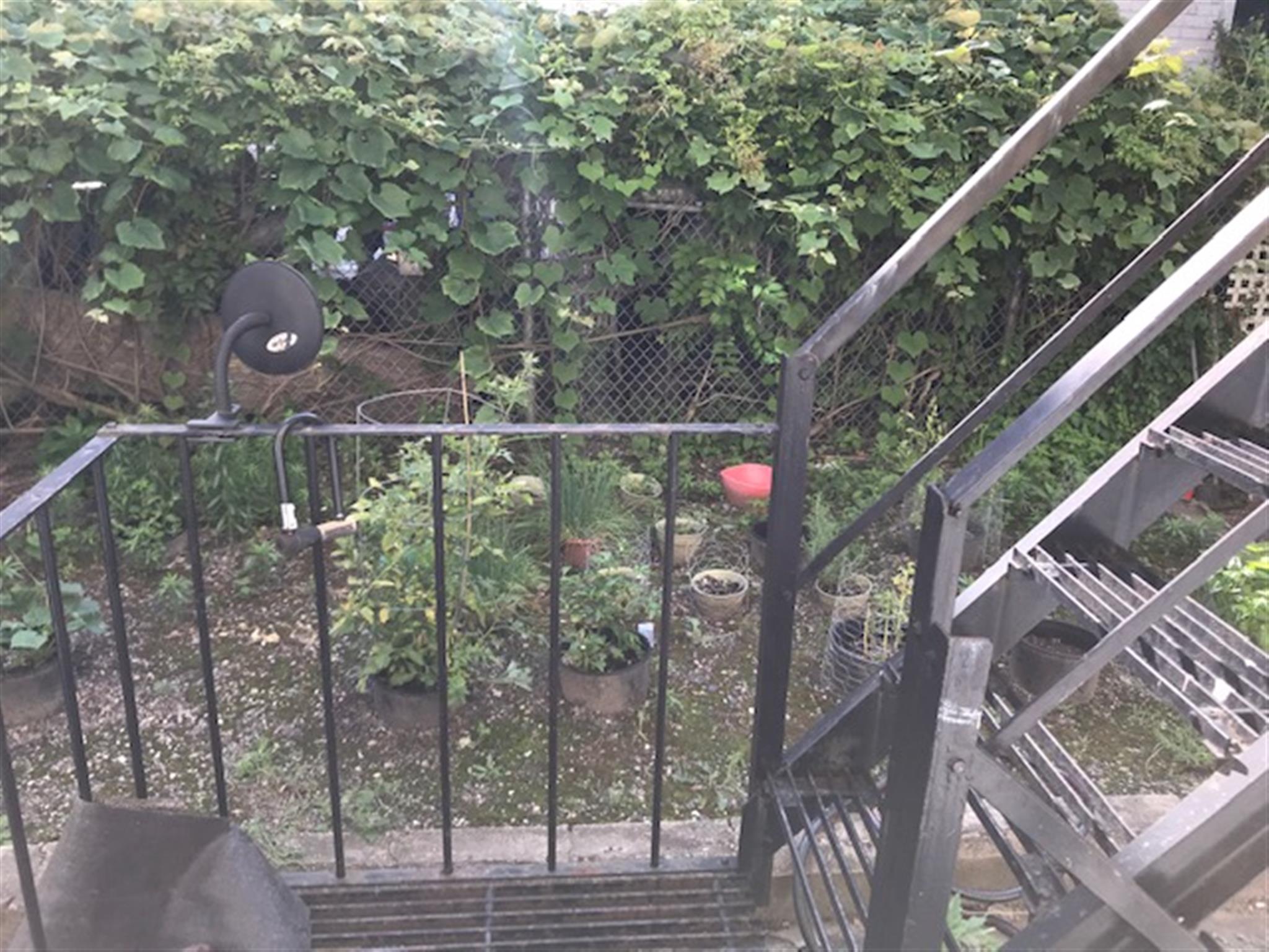 53 Harding St, Inman Square