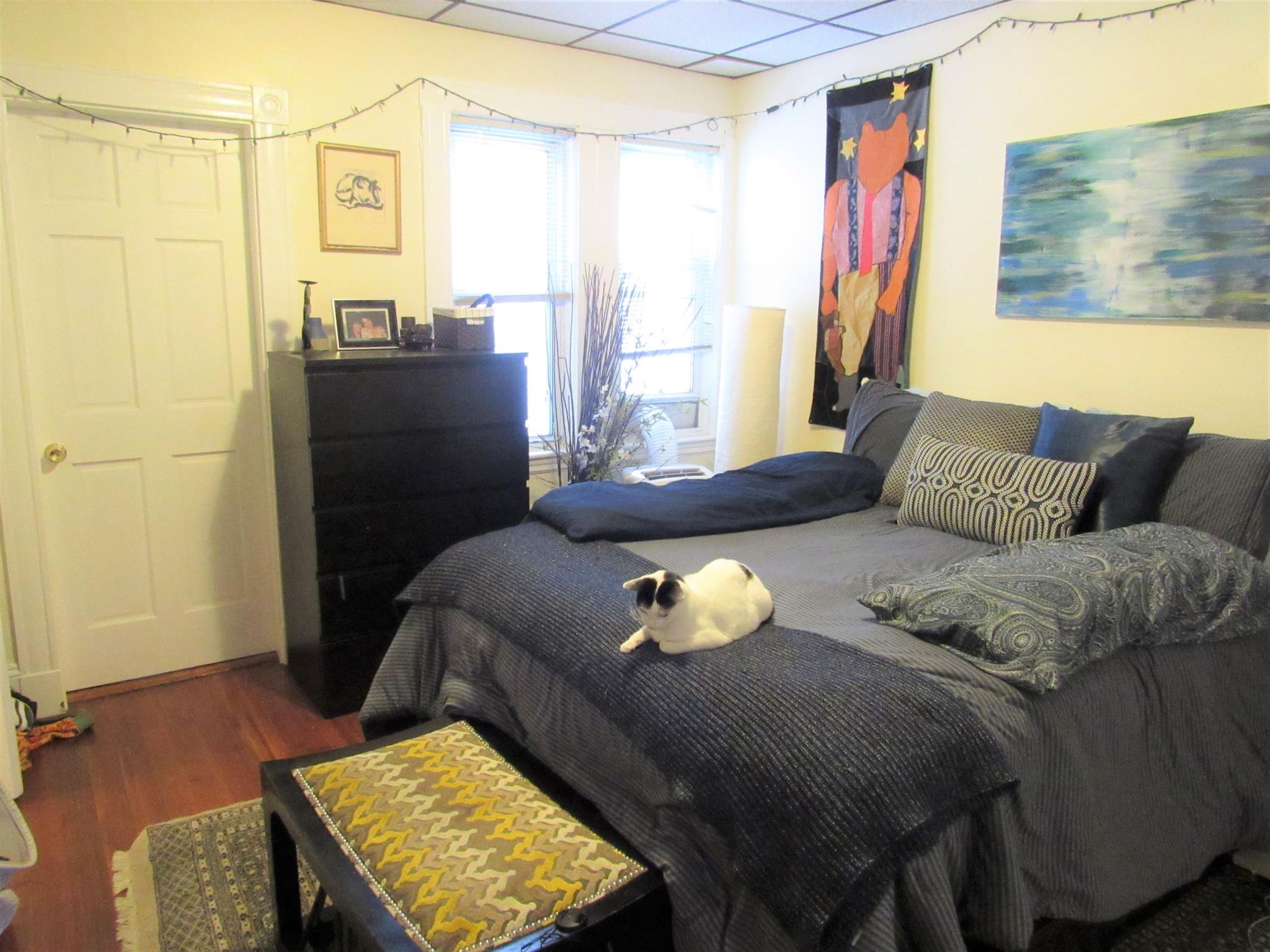 12 Craigie St, Spring Hill