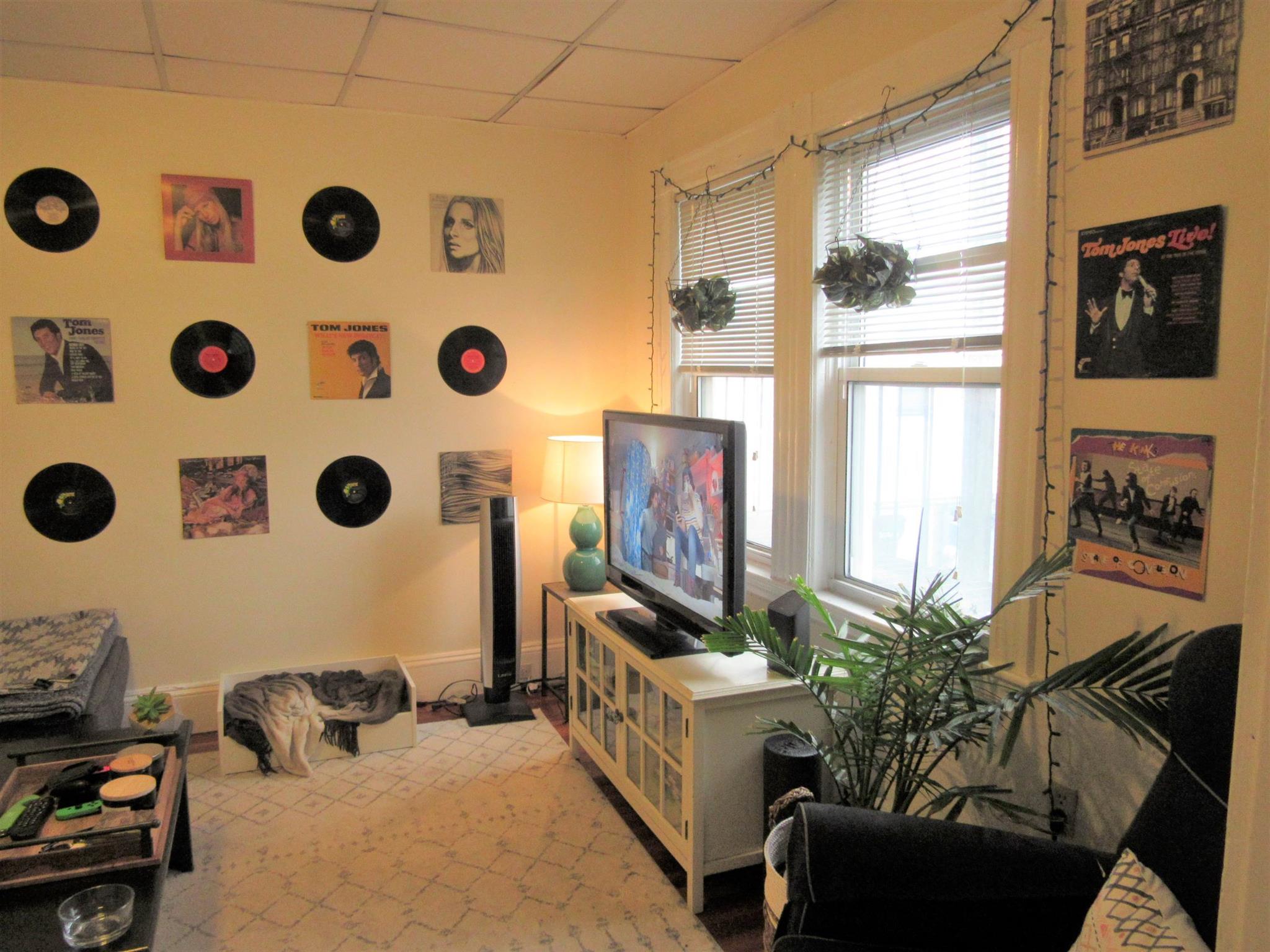 12 Craigie St, Spring Hill