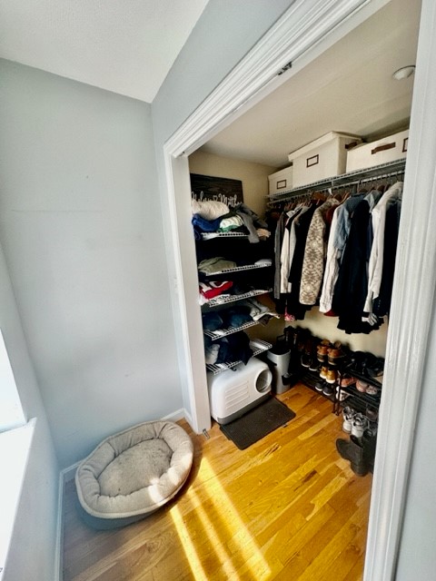 10 Harris St, North End