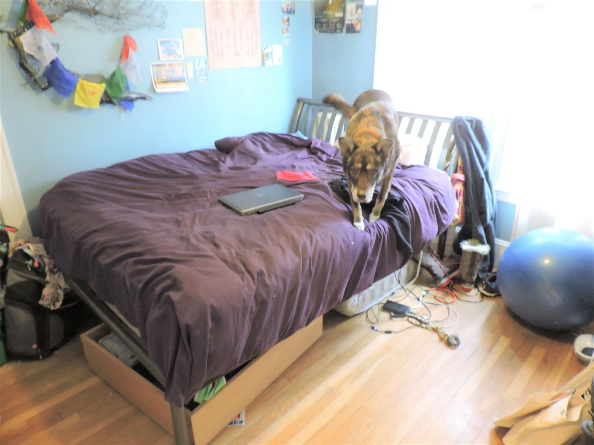 86 Henry St, Cambridgeport