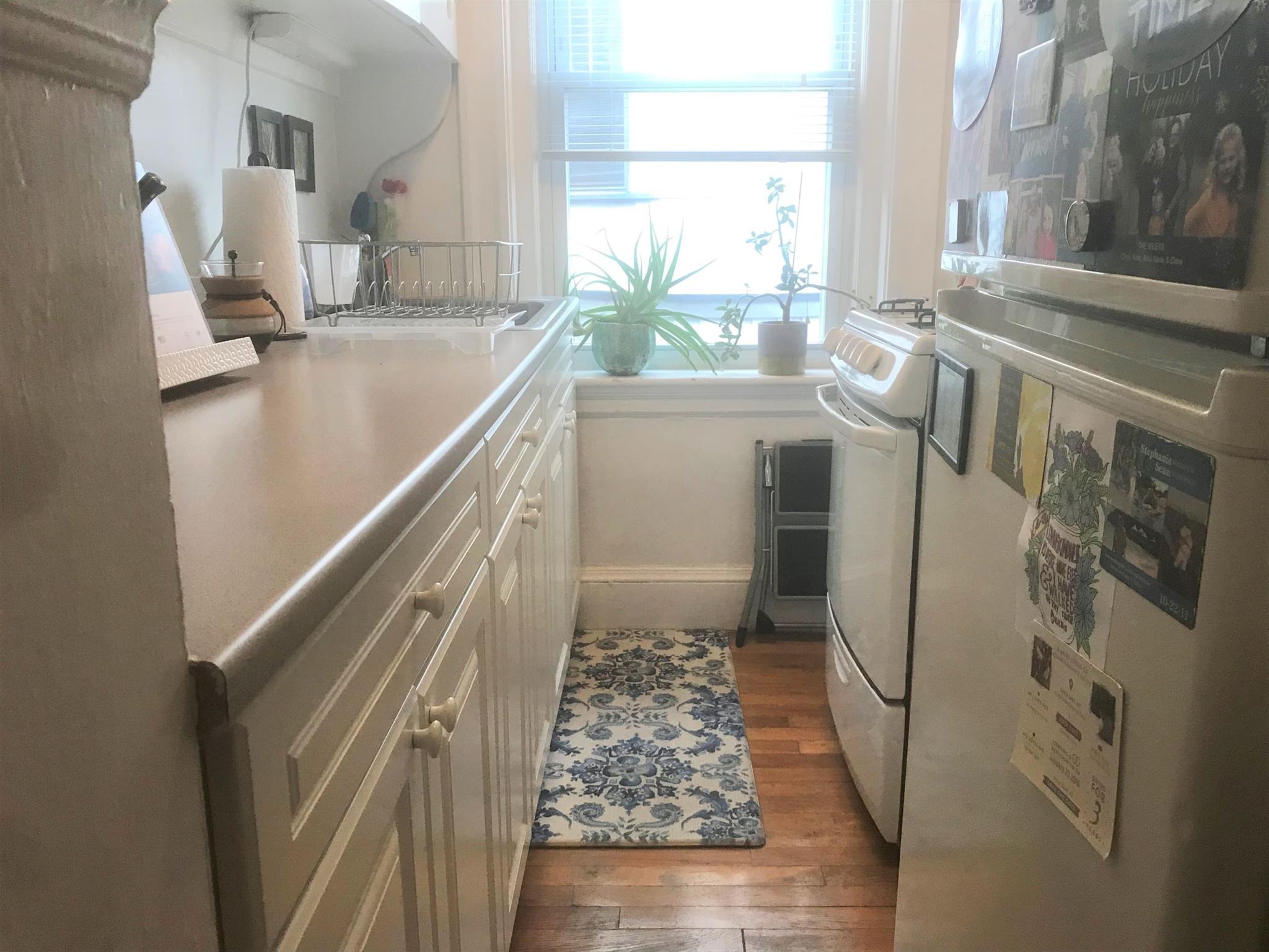 11 Gray St, Porter Square