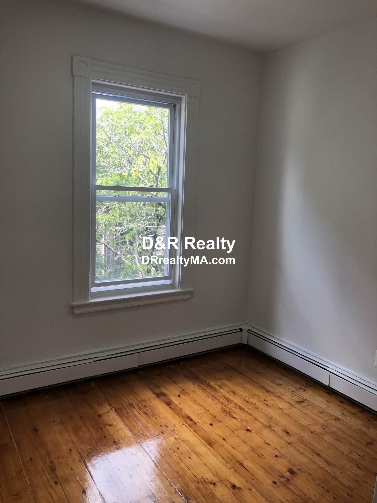 254 Windsor St, Kendall Square