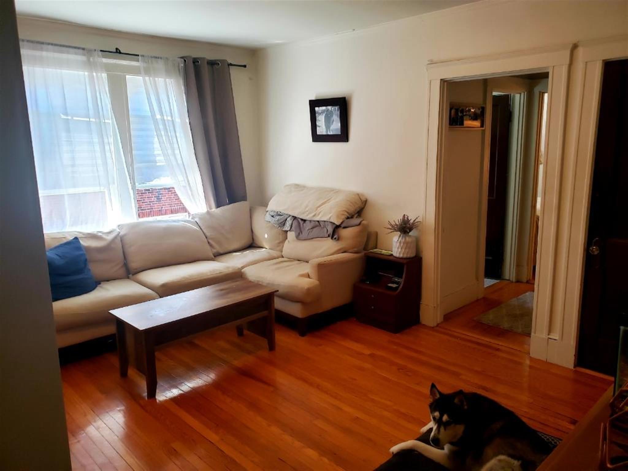 157 Summer St, Spring Hill