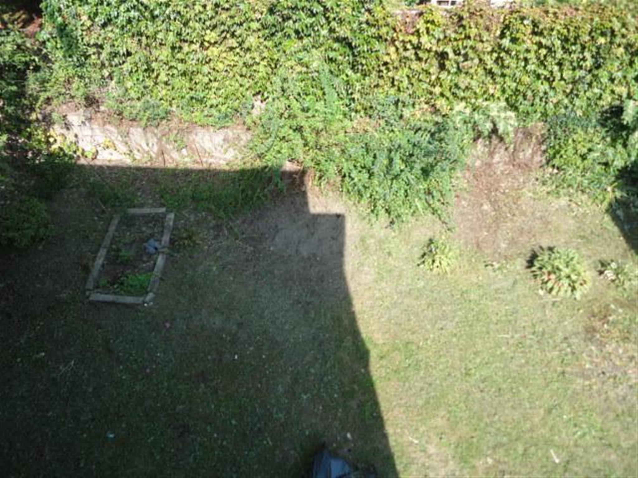 21 Appleton St, Davis Square