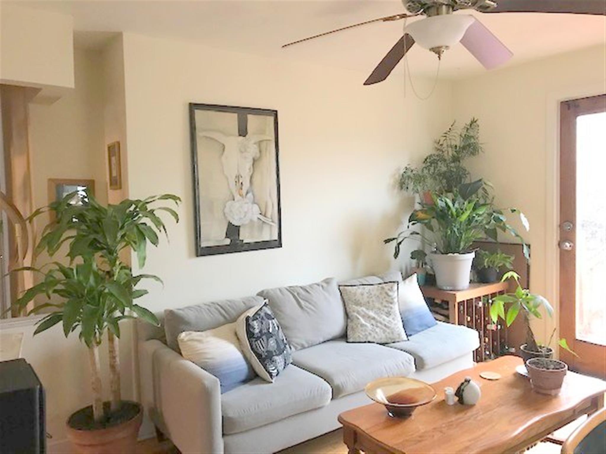 7 Tower Ct, Porter Square