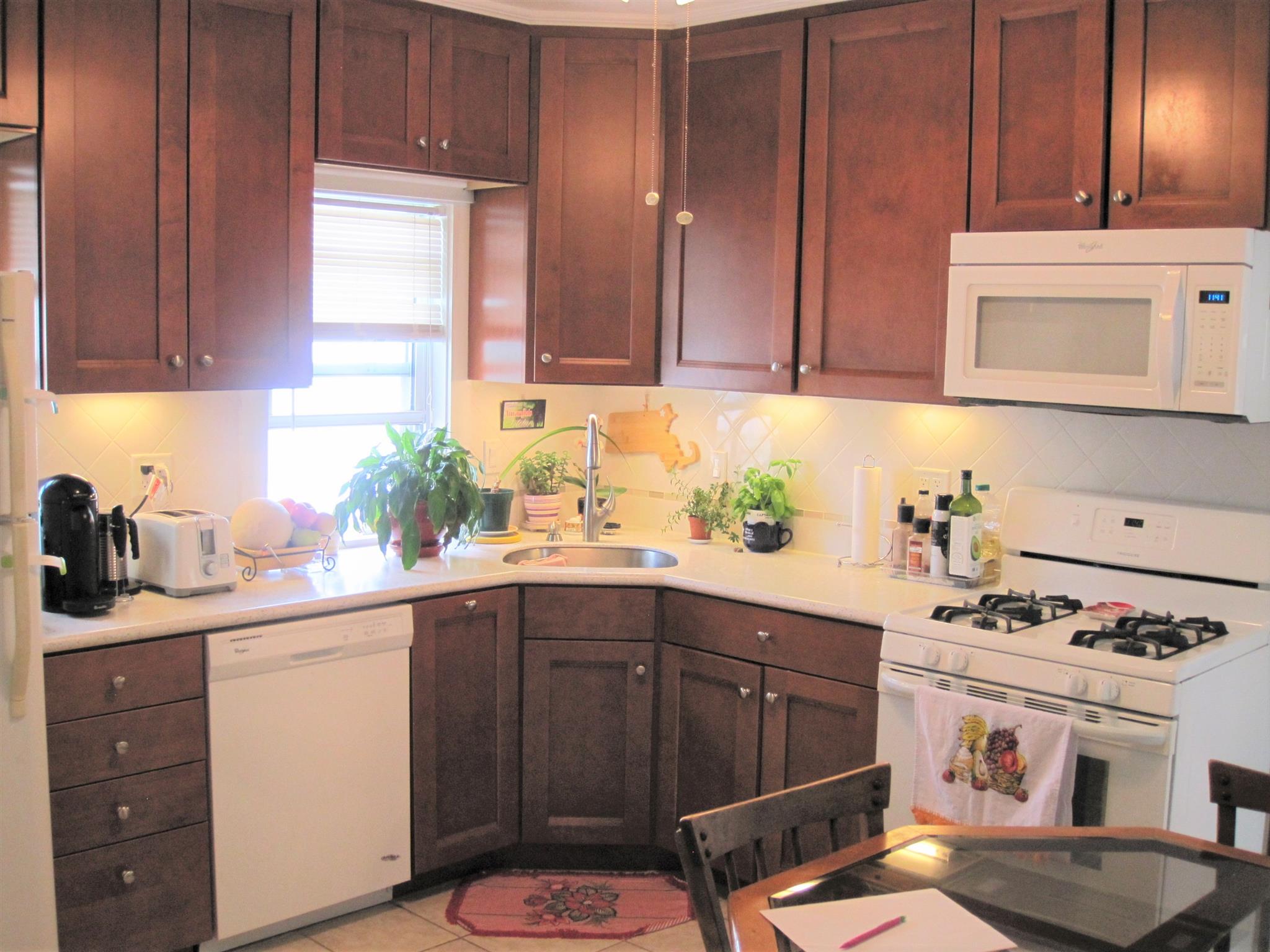 59 Windsor Rd, Medford