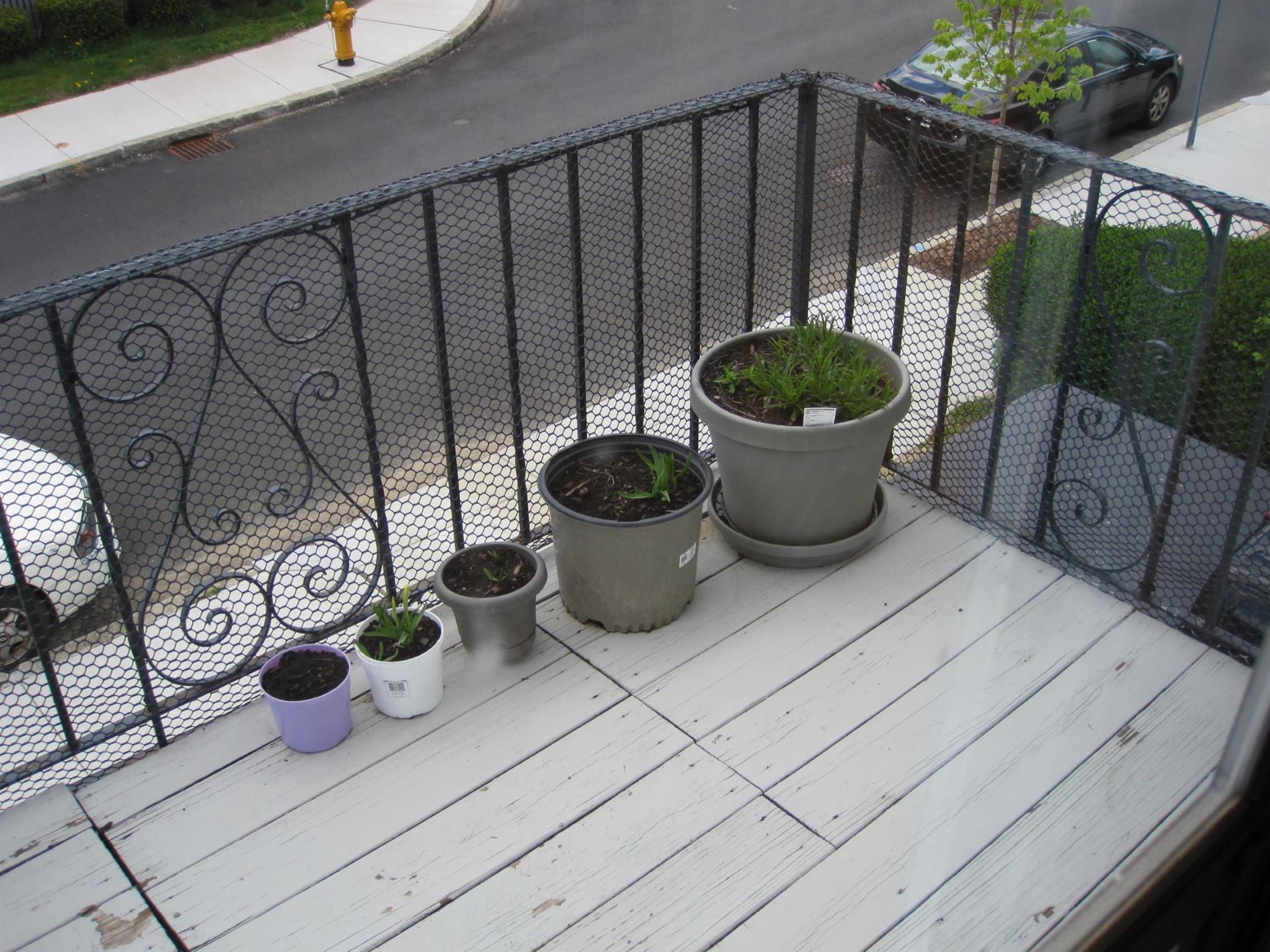 59 Windsor Rd, Medford