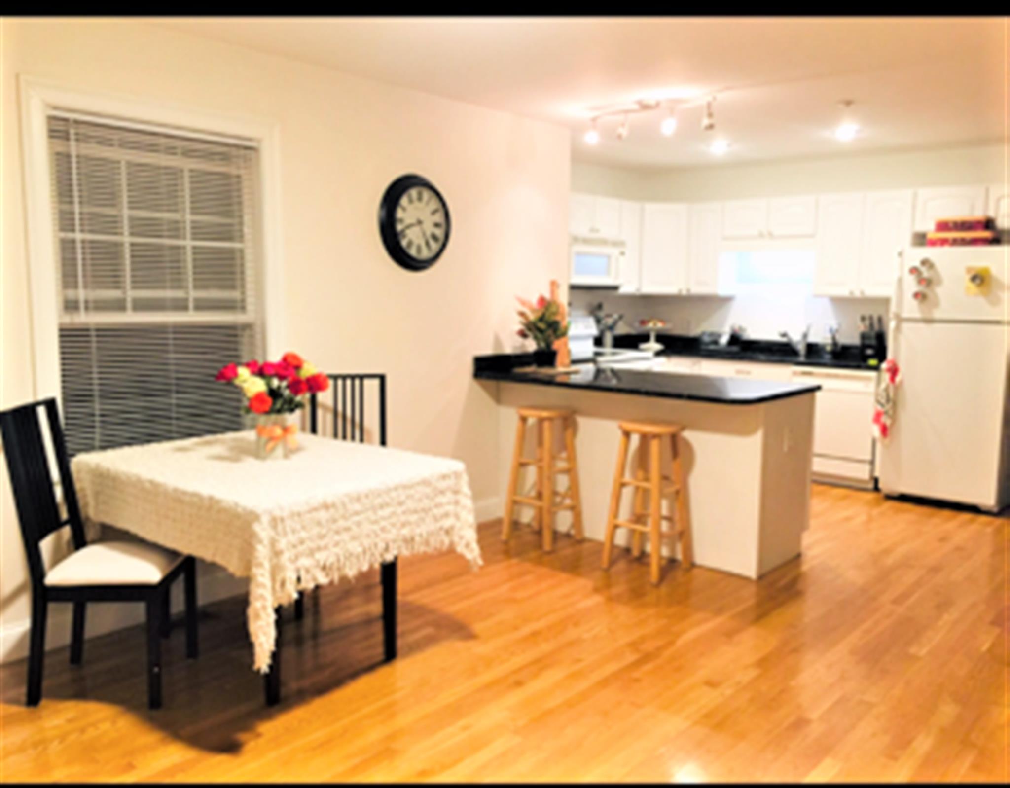 91 Pearson Ave, Davis Square