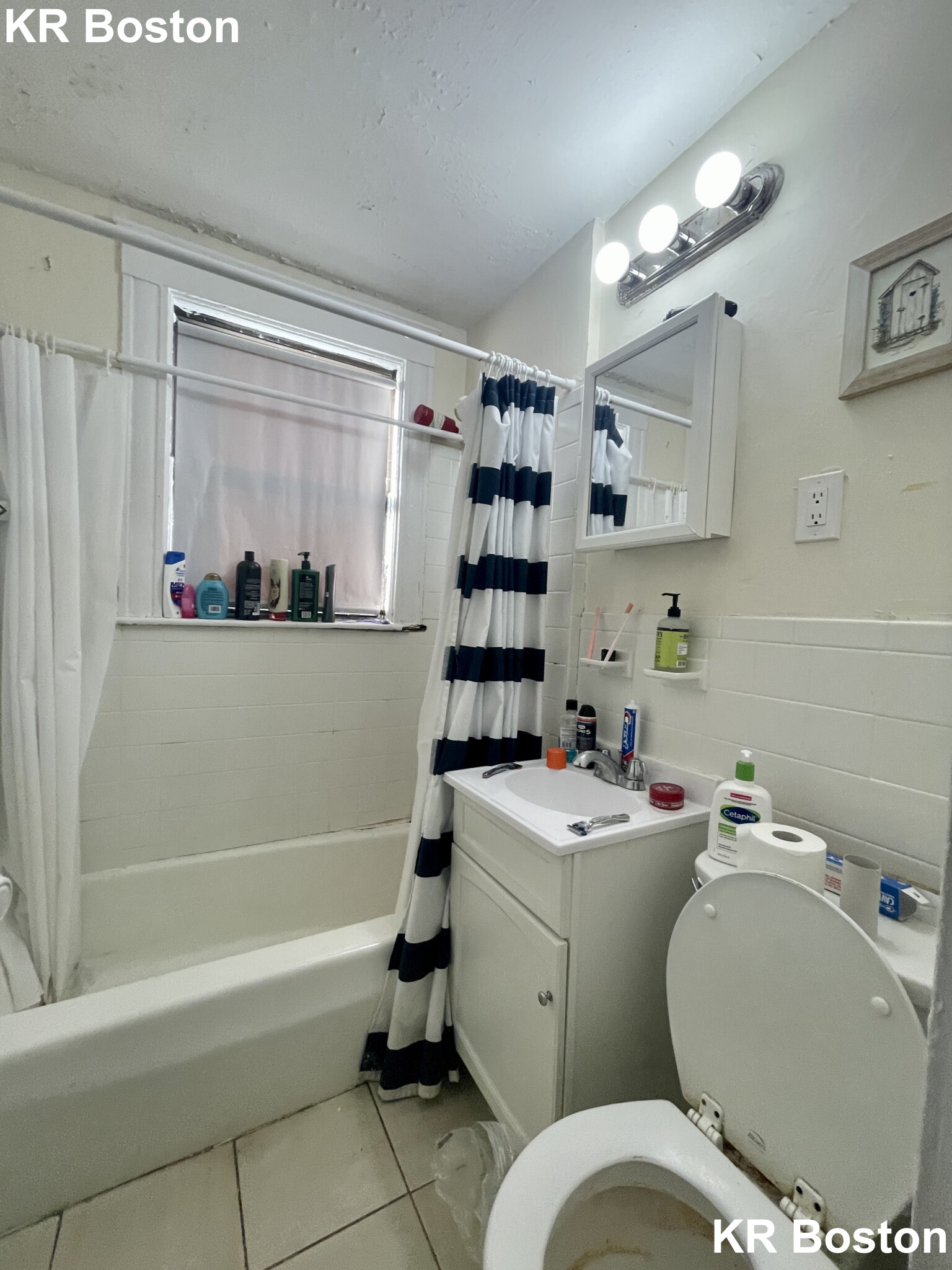 26 Hamilton Rd, Coolidge Corner