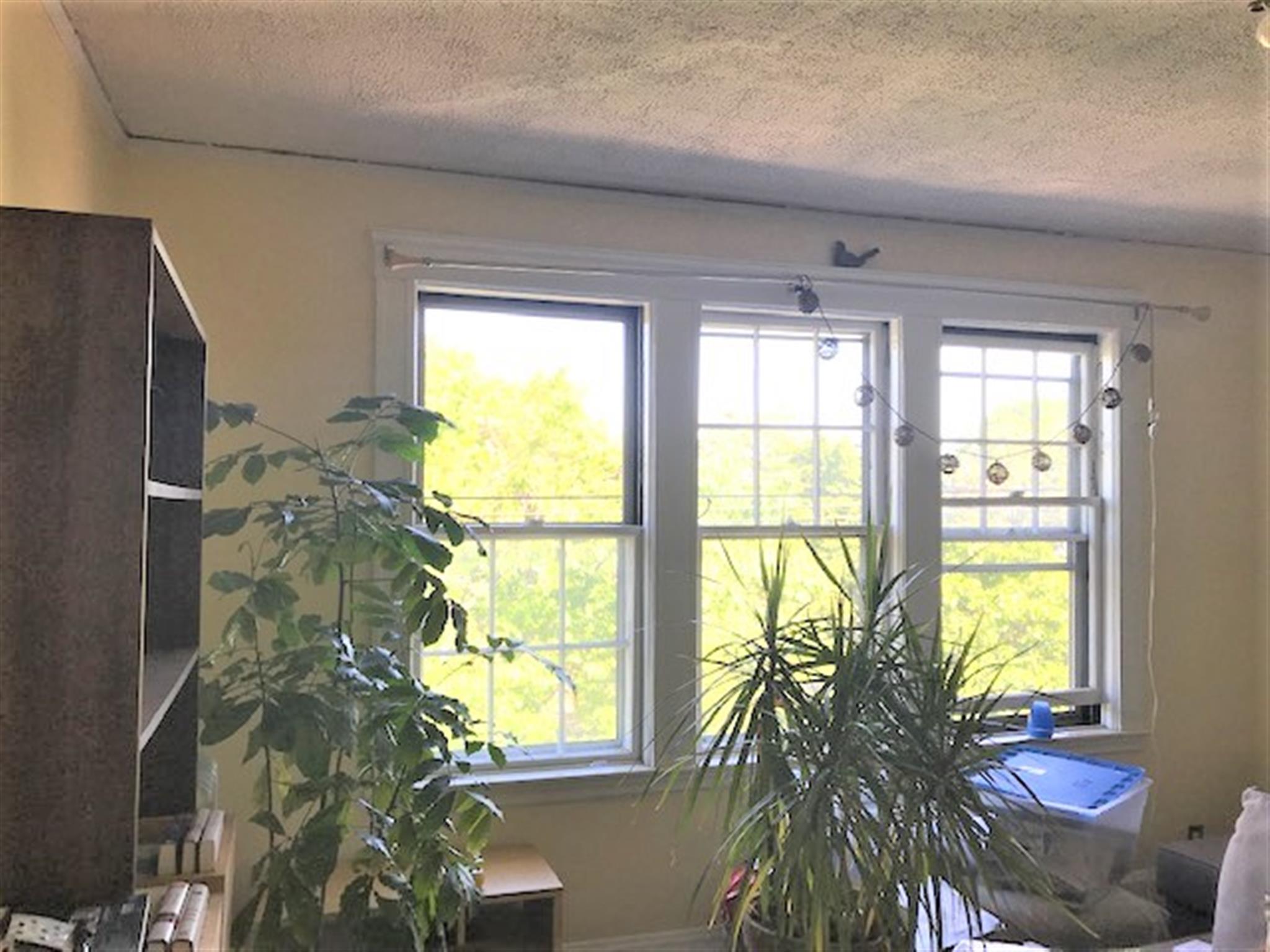 168 Norfolk St, Central Square