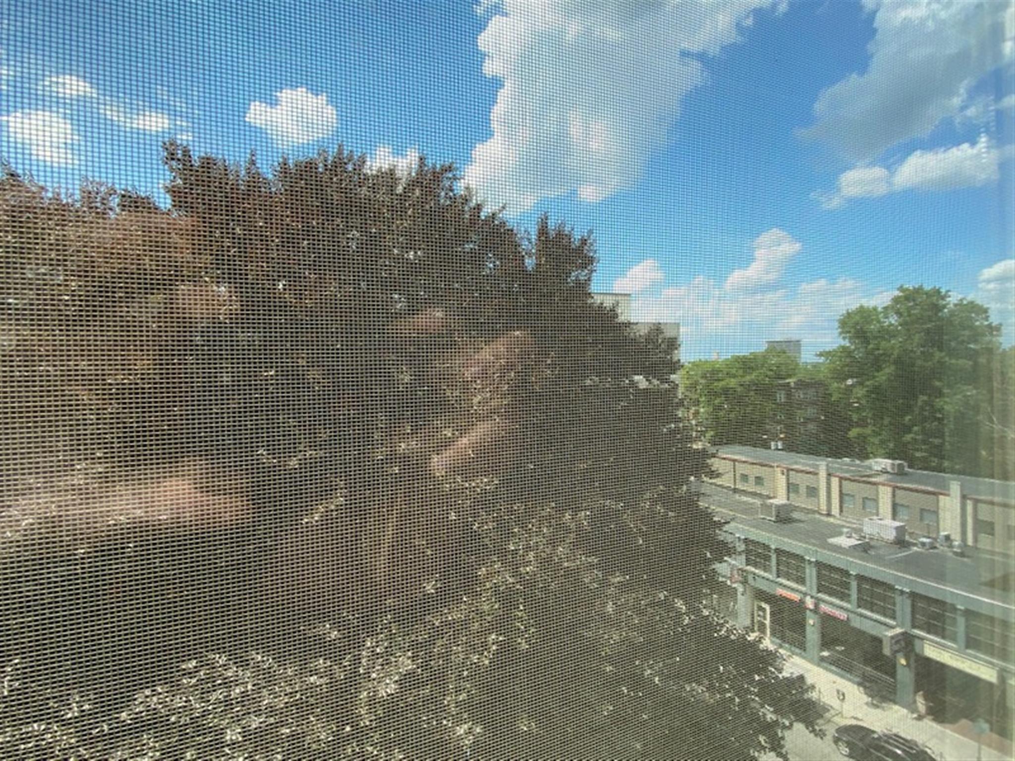 1008 Massachusetts Ave, Harvard Square