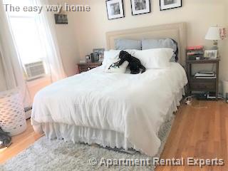 279 Pearl, Cambridgeport