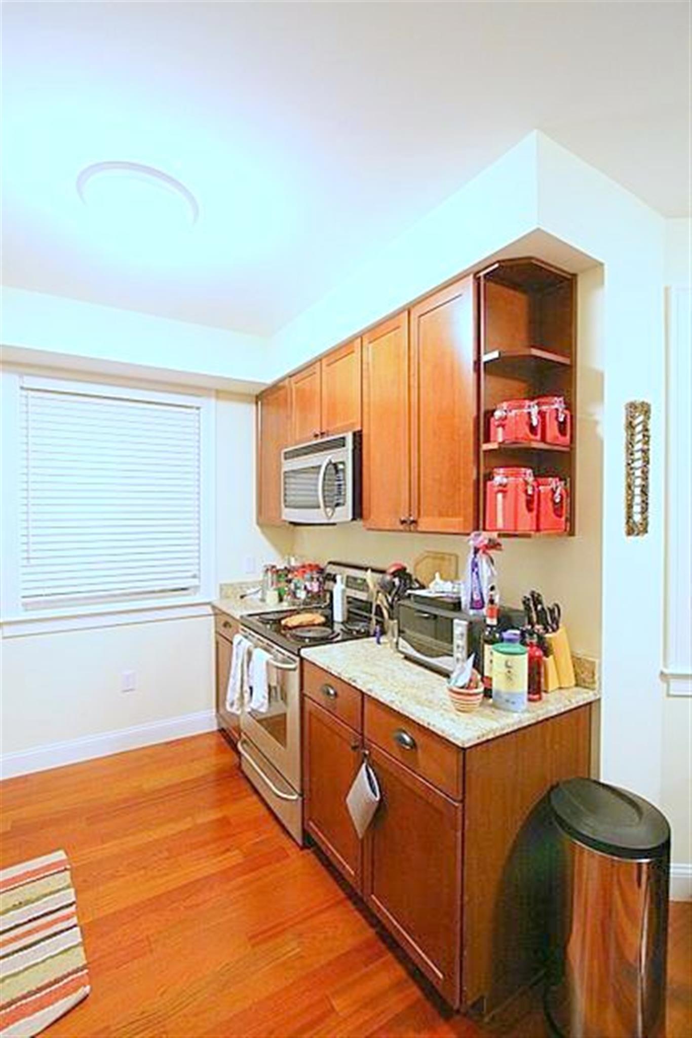 45 Pitman St, Spring Hill