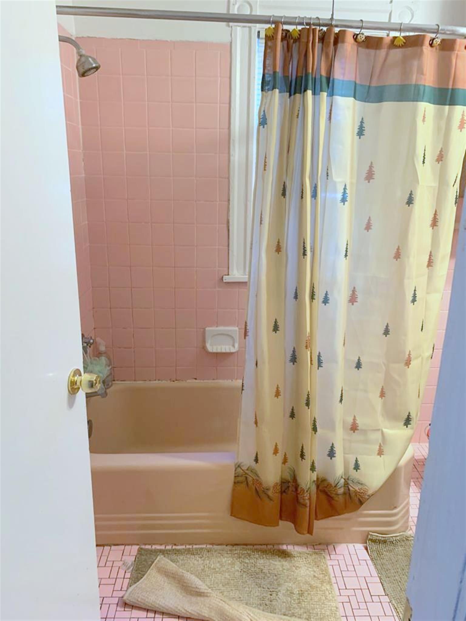 15 5th St, Wellington