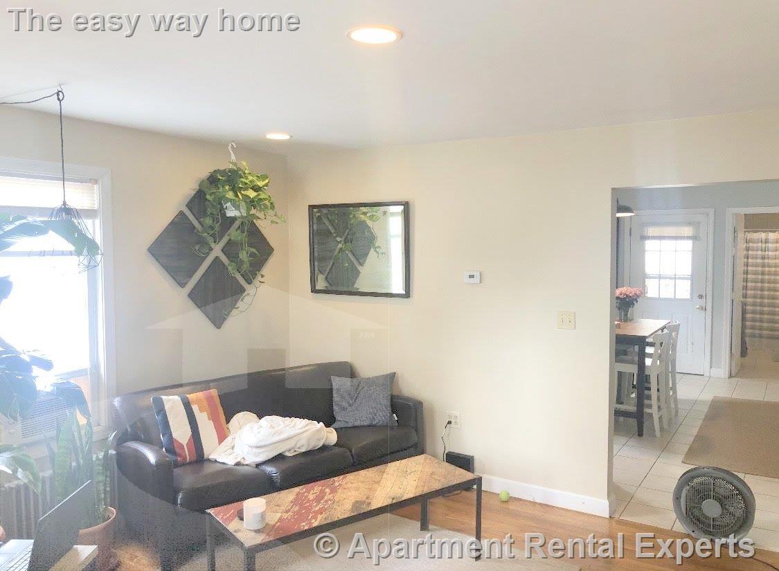 217 Cedar St, Ball Square