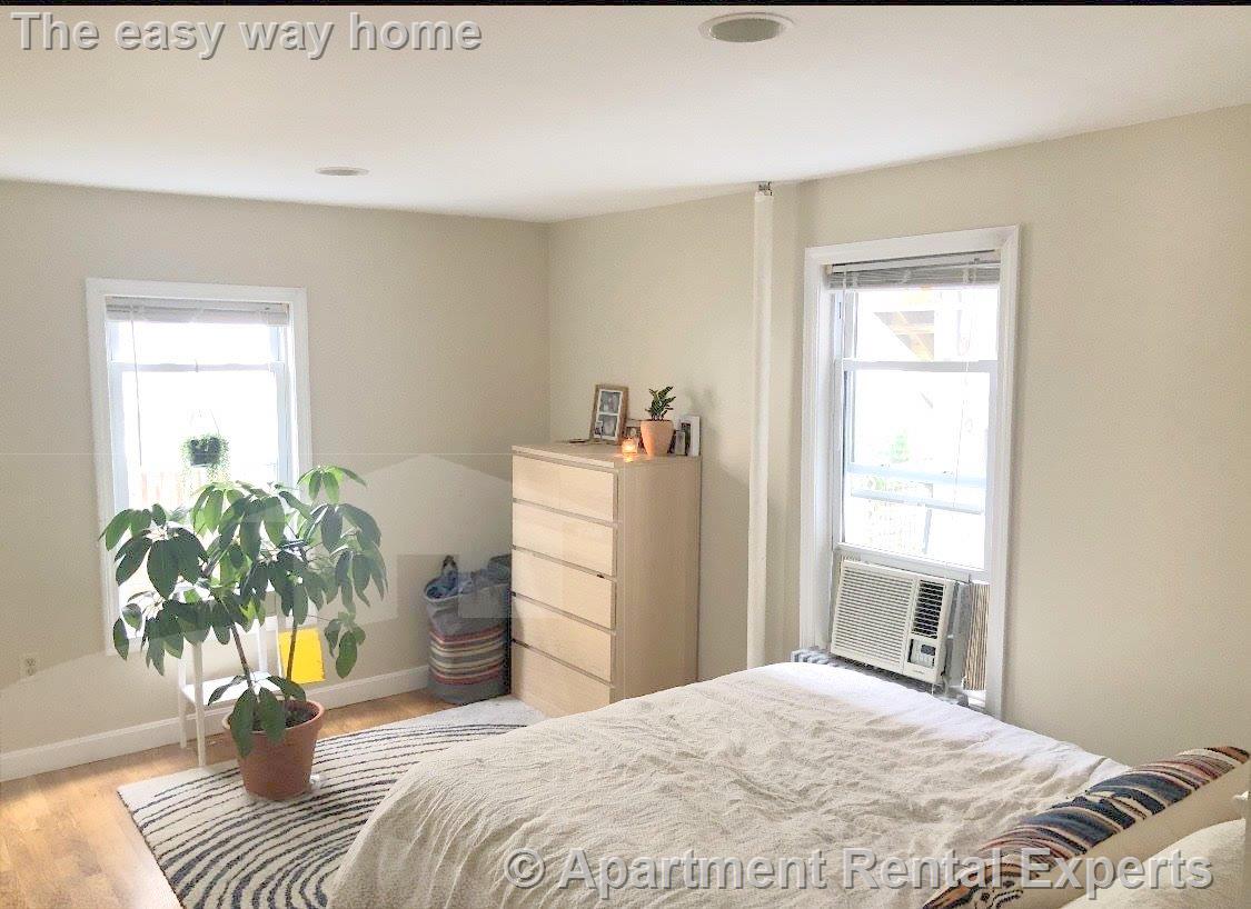 217 Cedar St, Ball Square