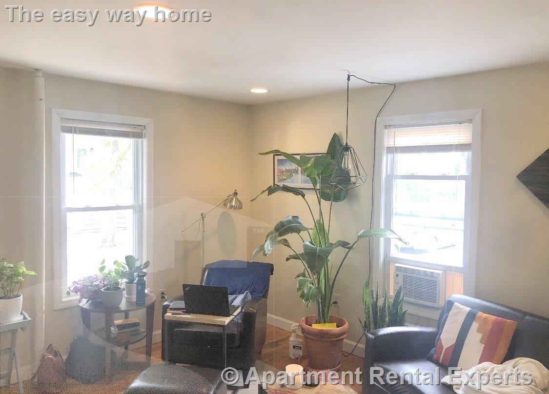 217 Cedar St, Ball Square